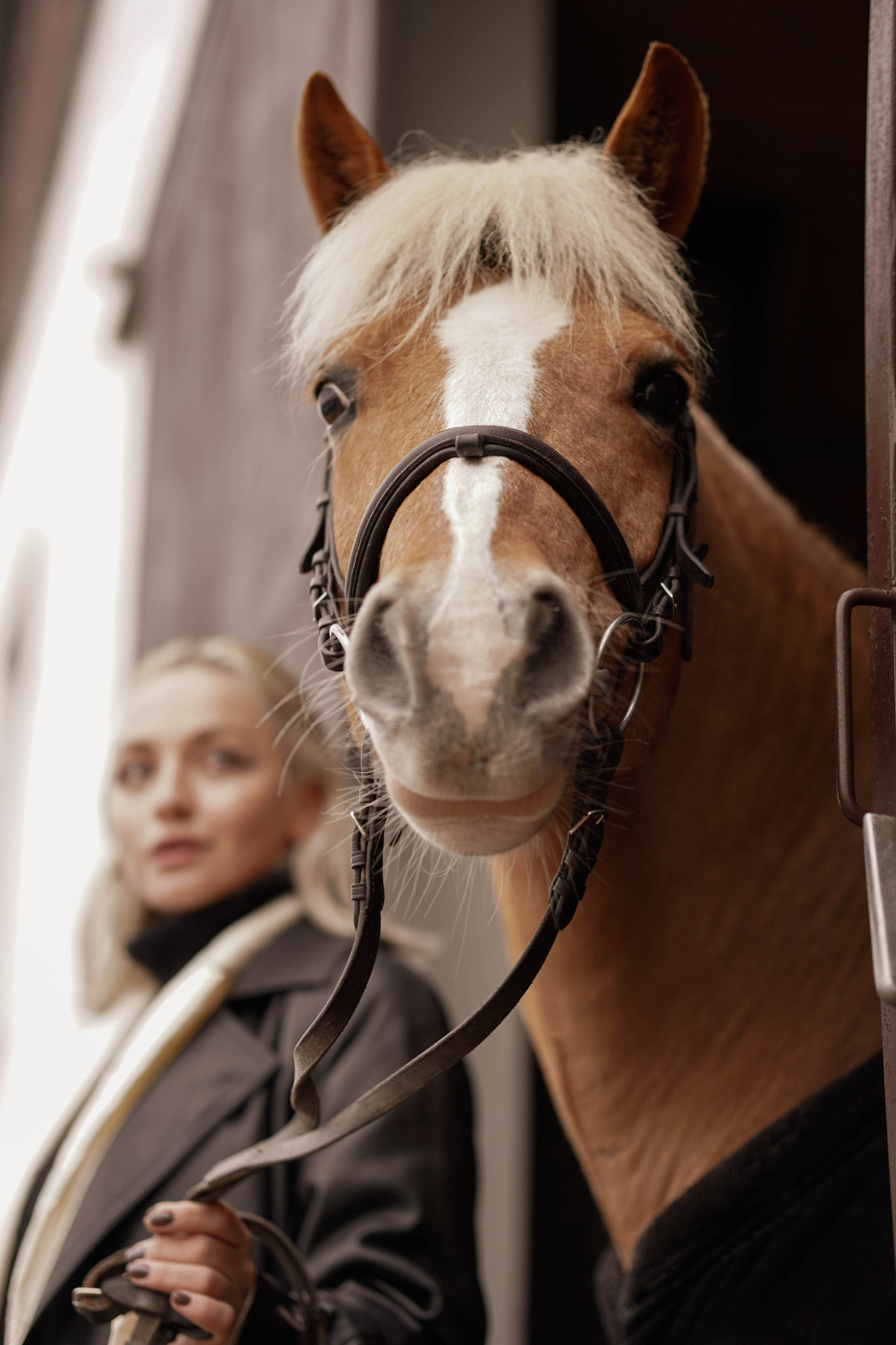 Съемки с животными. Фотограф в Праге Анастасия Широких