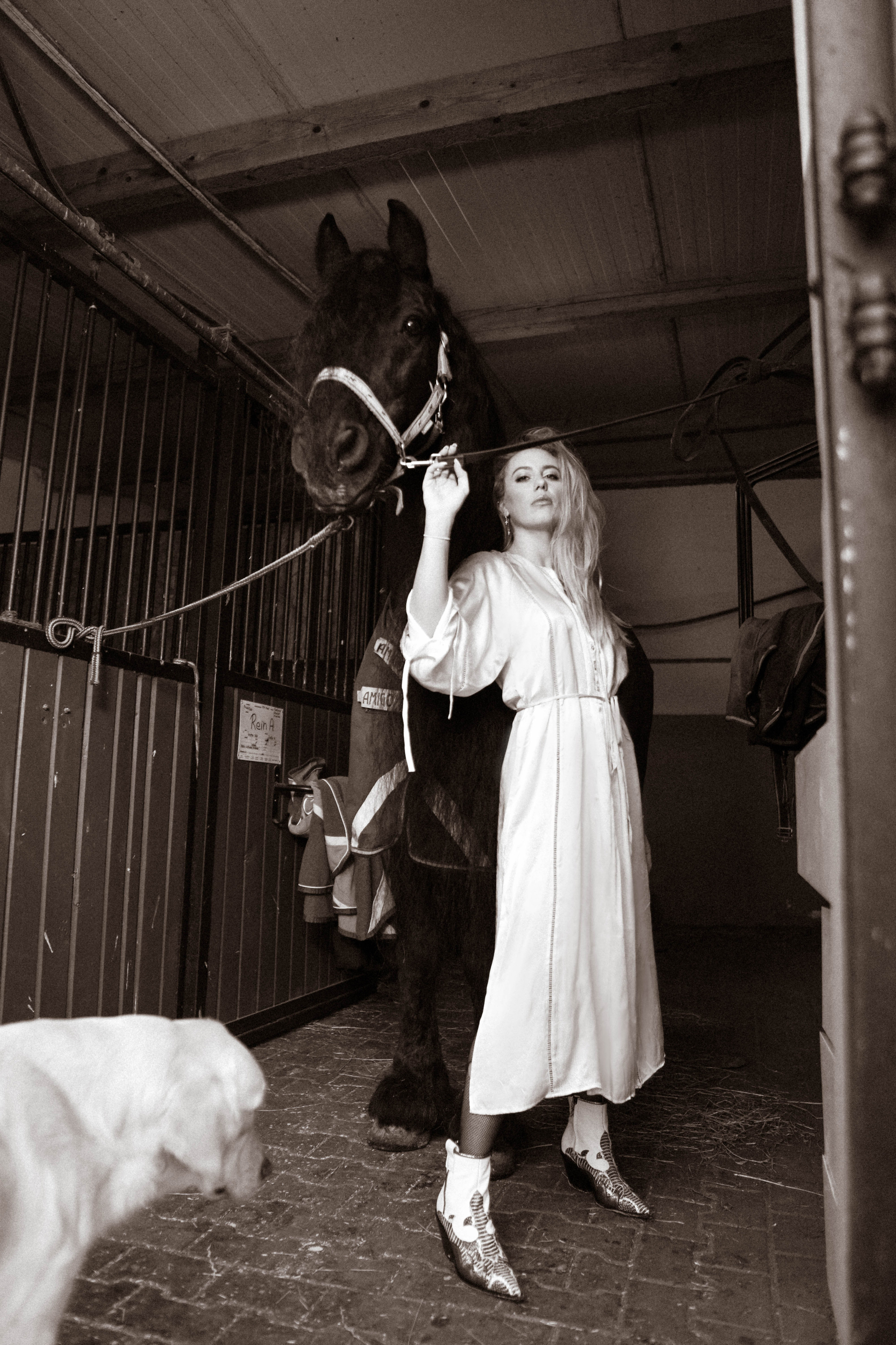 Съемки с животными. Фотограф в Праге Анастасия Широких