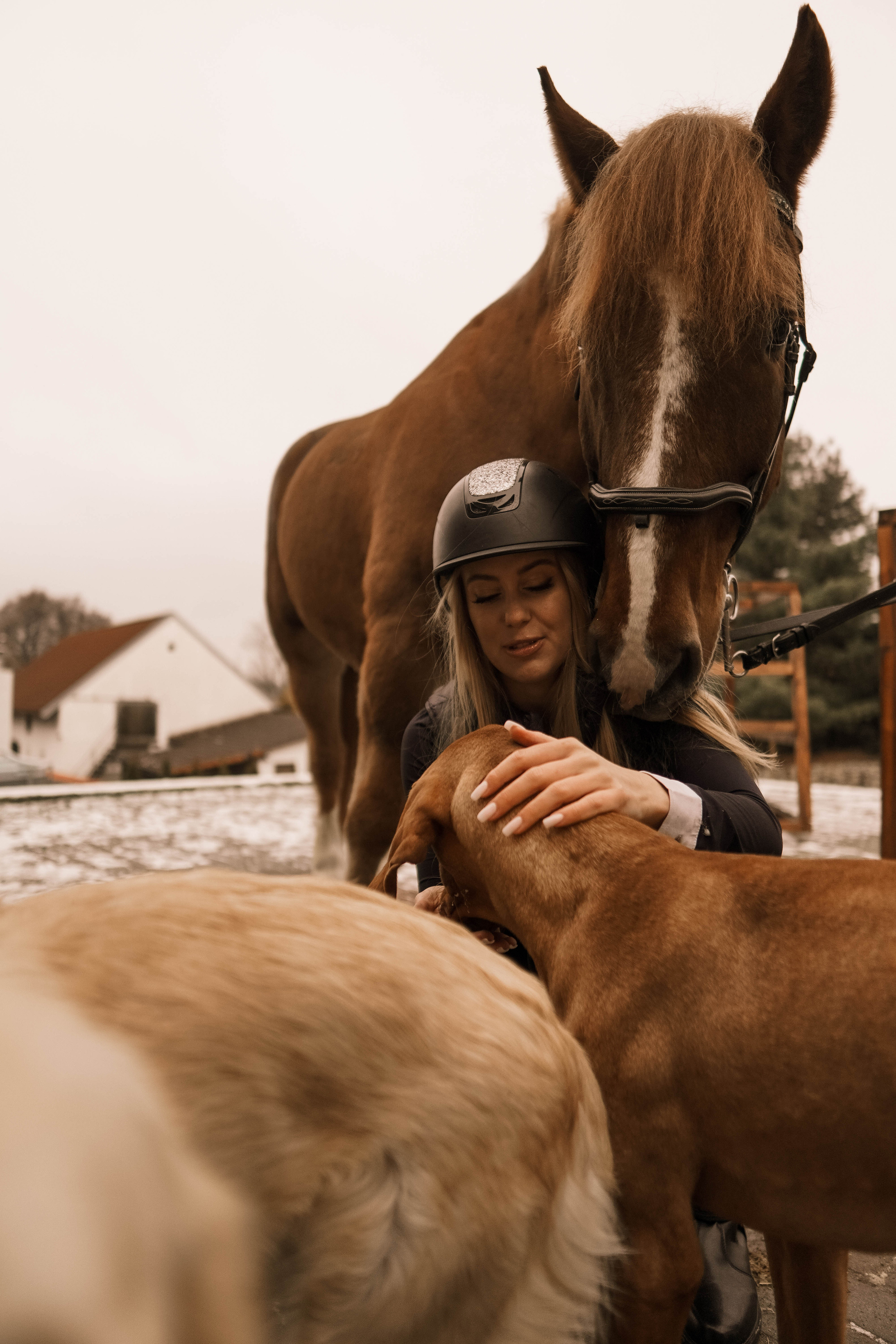 Съемки с животными. Фотограф в Праге Анастасия Широких