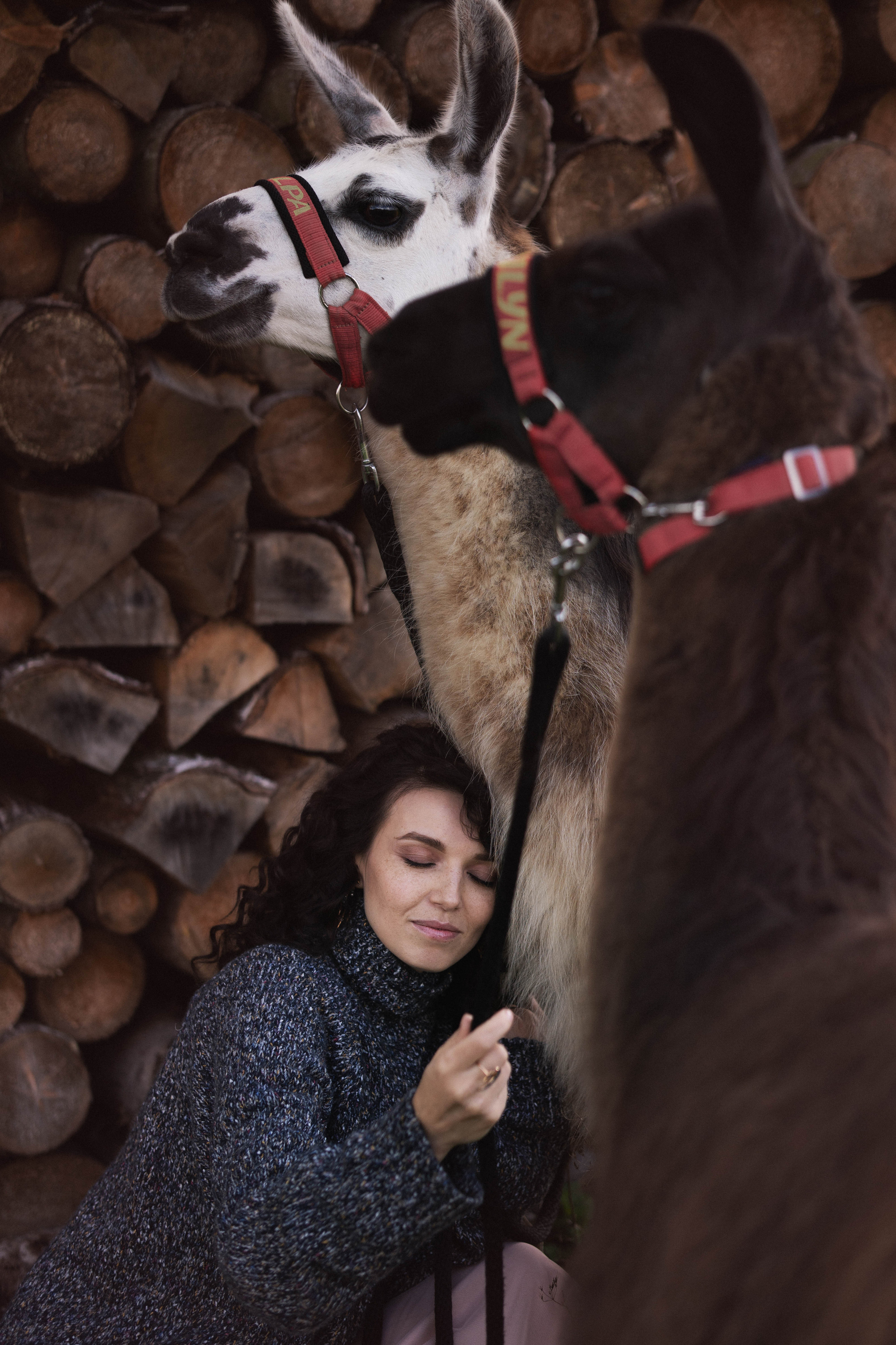 Съемки с животными. Фотограф в Праге Анастасия Широких