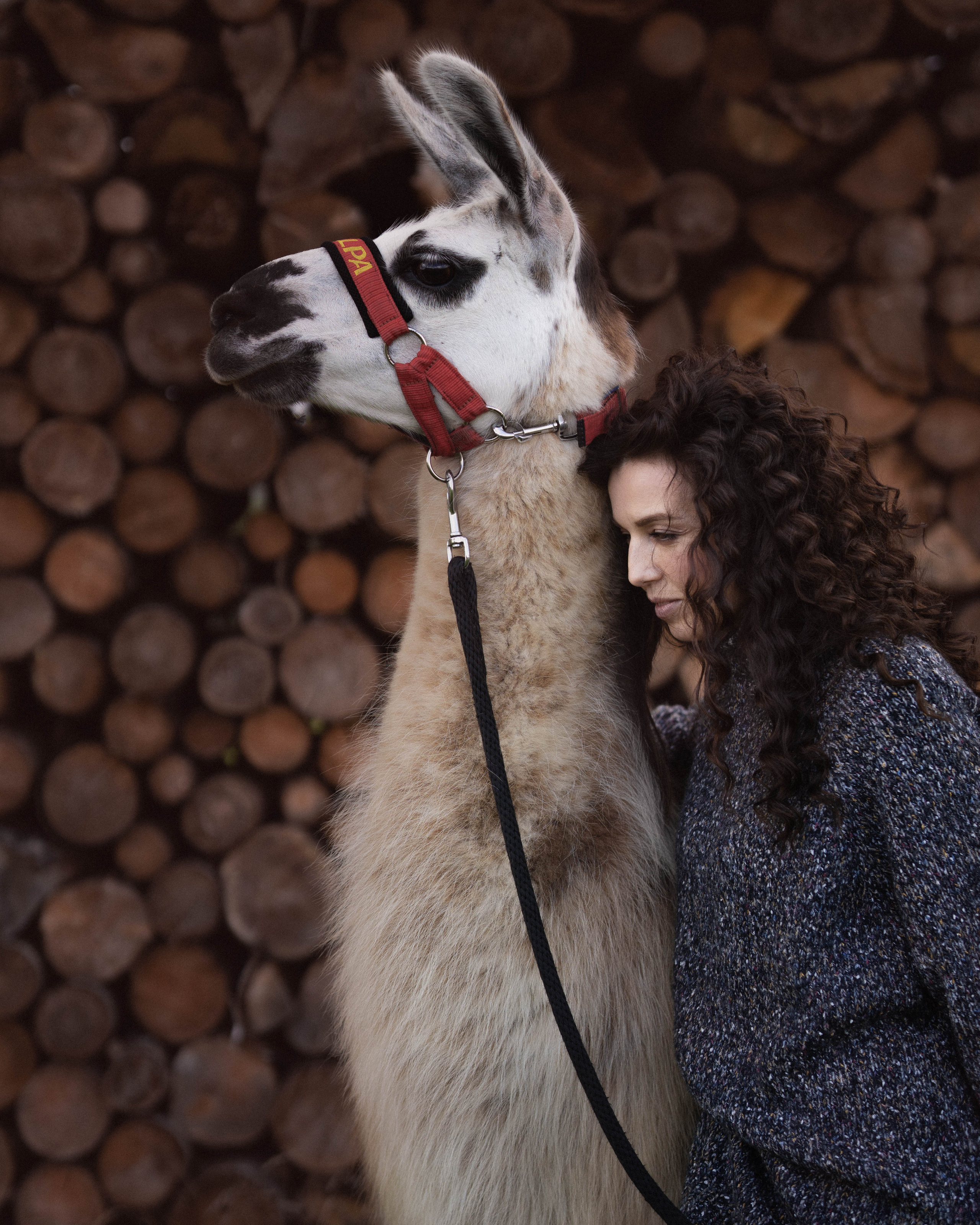 Съемки с животными. Фотограф в Праге Анастасия Широких