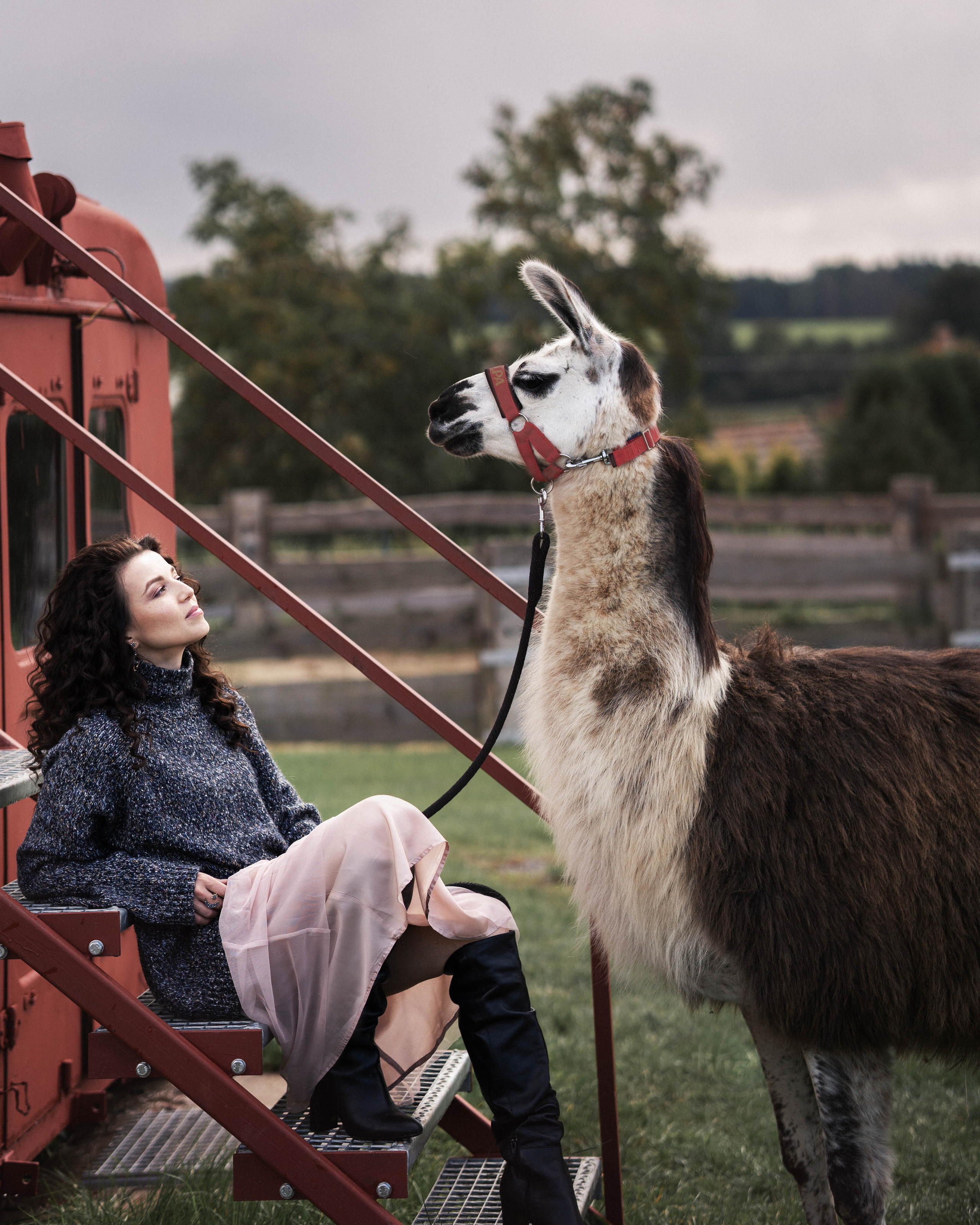 Съемки с животными. Фотограф в Праге Анастасия Широких