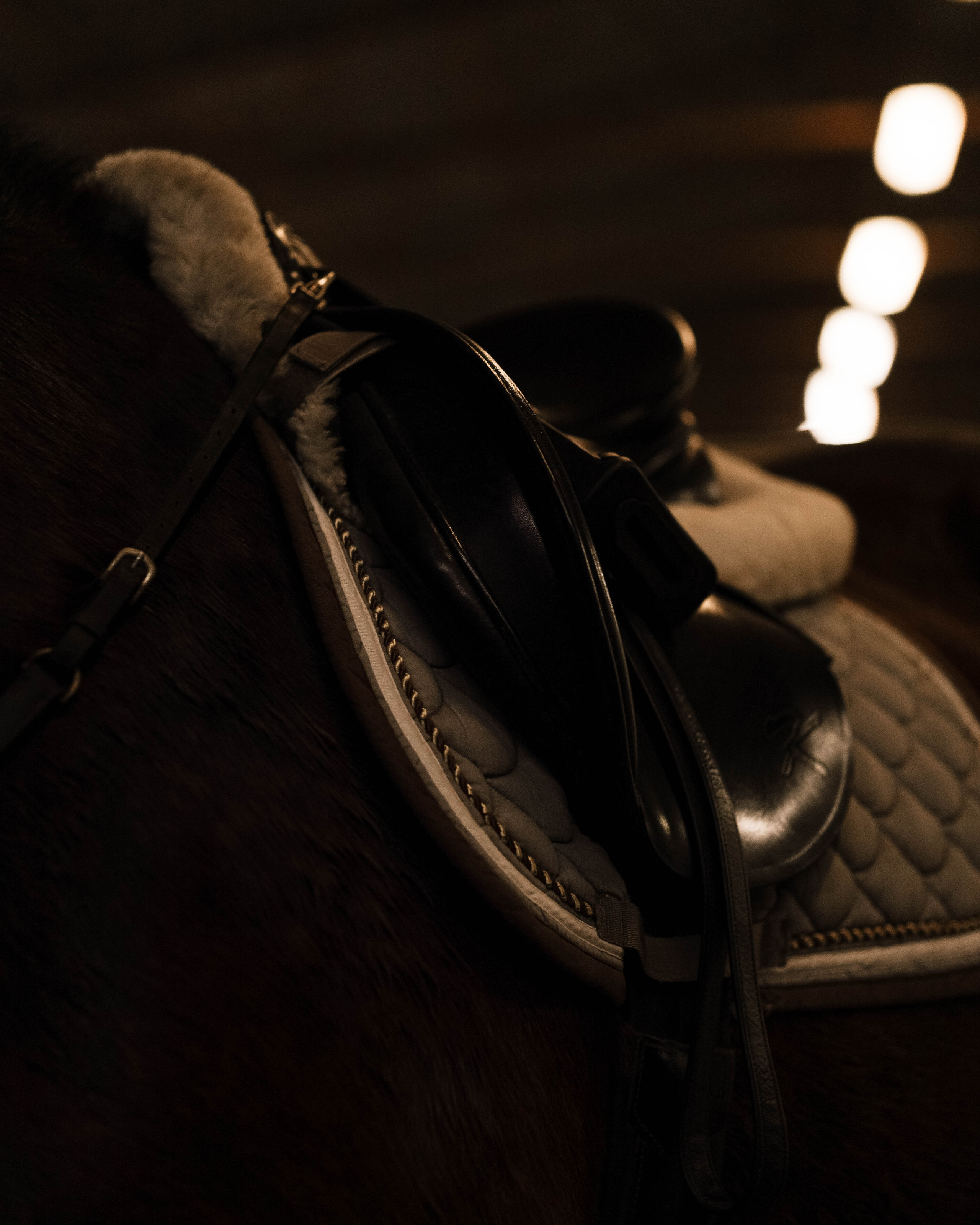 Съемки с животными. Фотограф в Праге Анастасия Широких