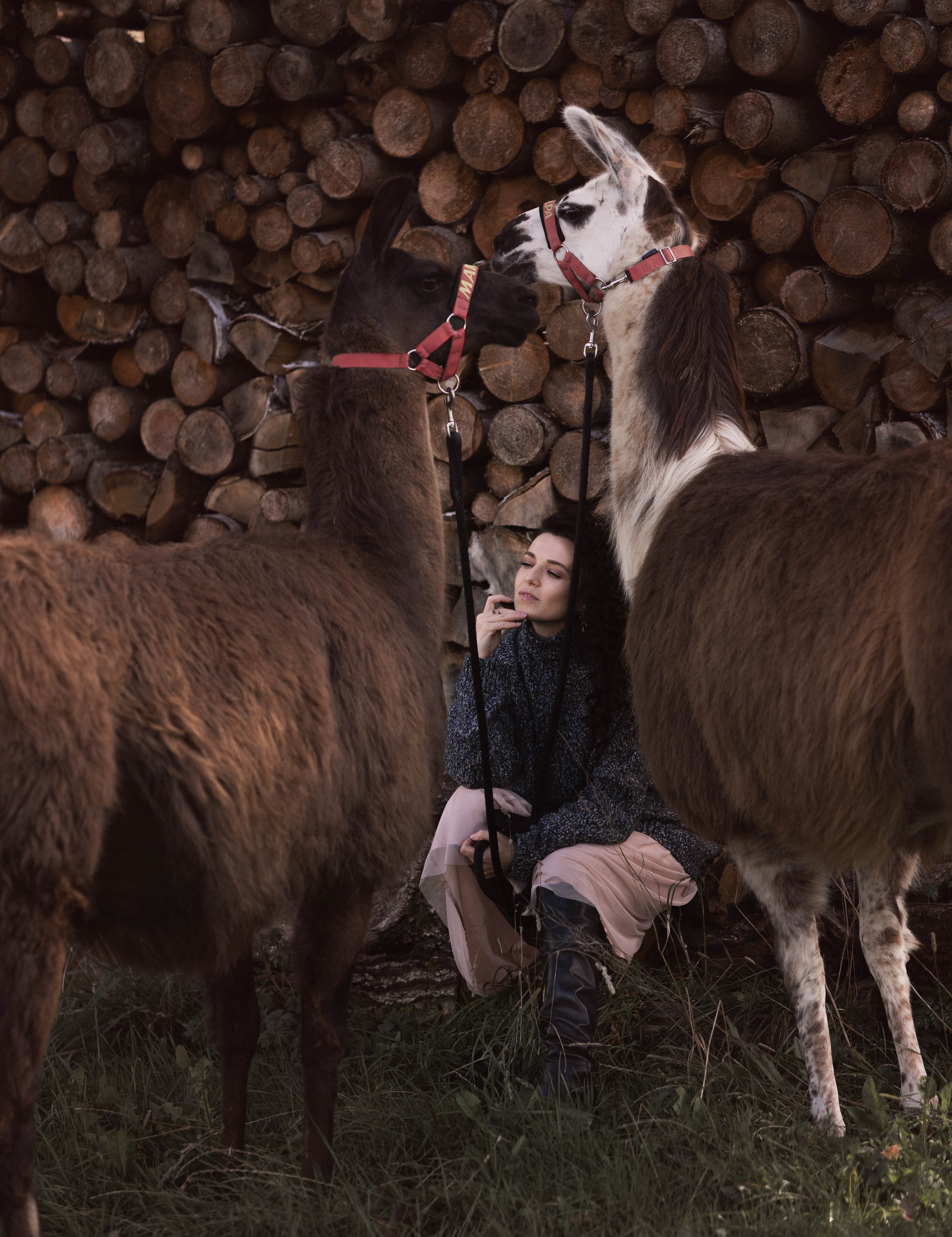 Съемки с животными. Фотограф в Праге Анастасия Широких
