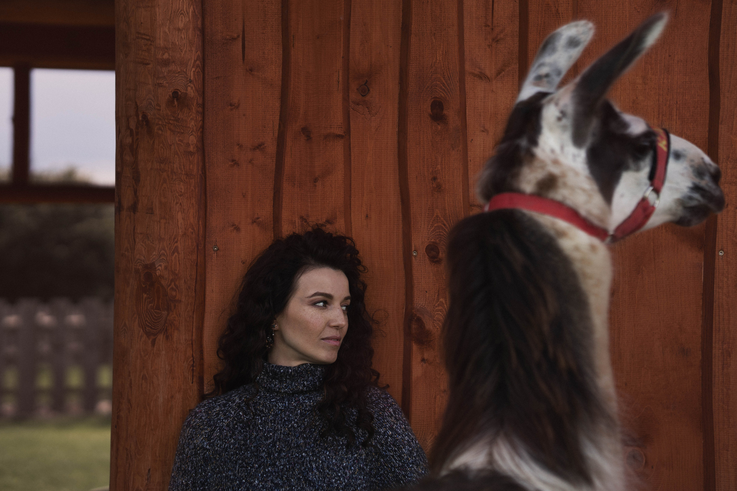 Съемки с животными. Фотограф в Праге Анастасия Широких