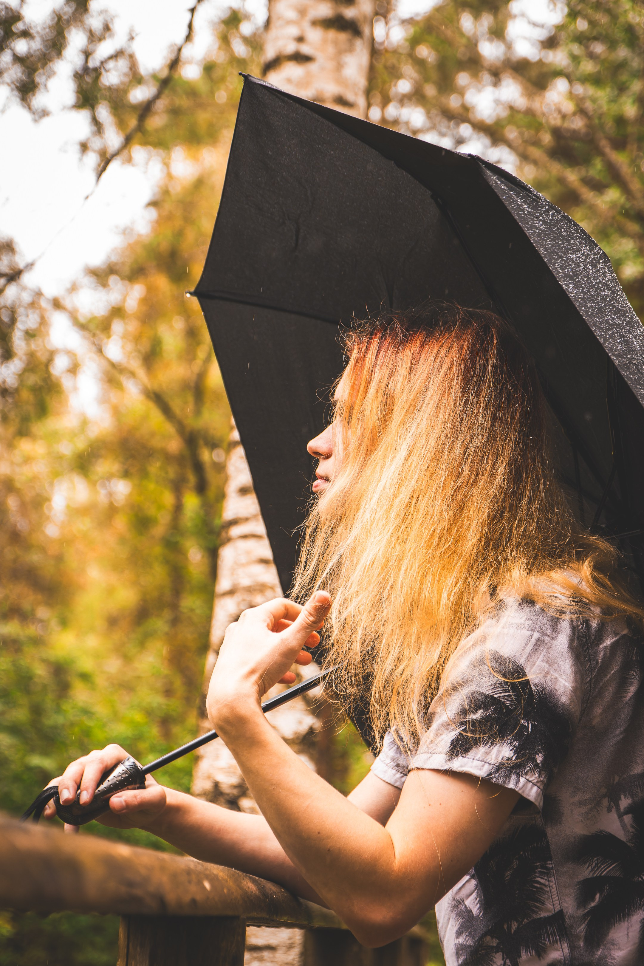 Mets, vihm ja jahedus (Dimitry). Nebula 25 — Fotod teie hingele