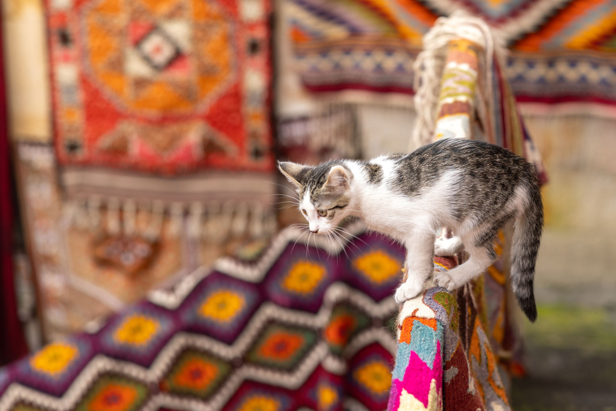 Julian & Cayla. Фотограф в Каппадокии / Julia Ganch