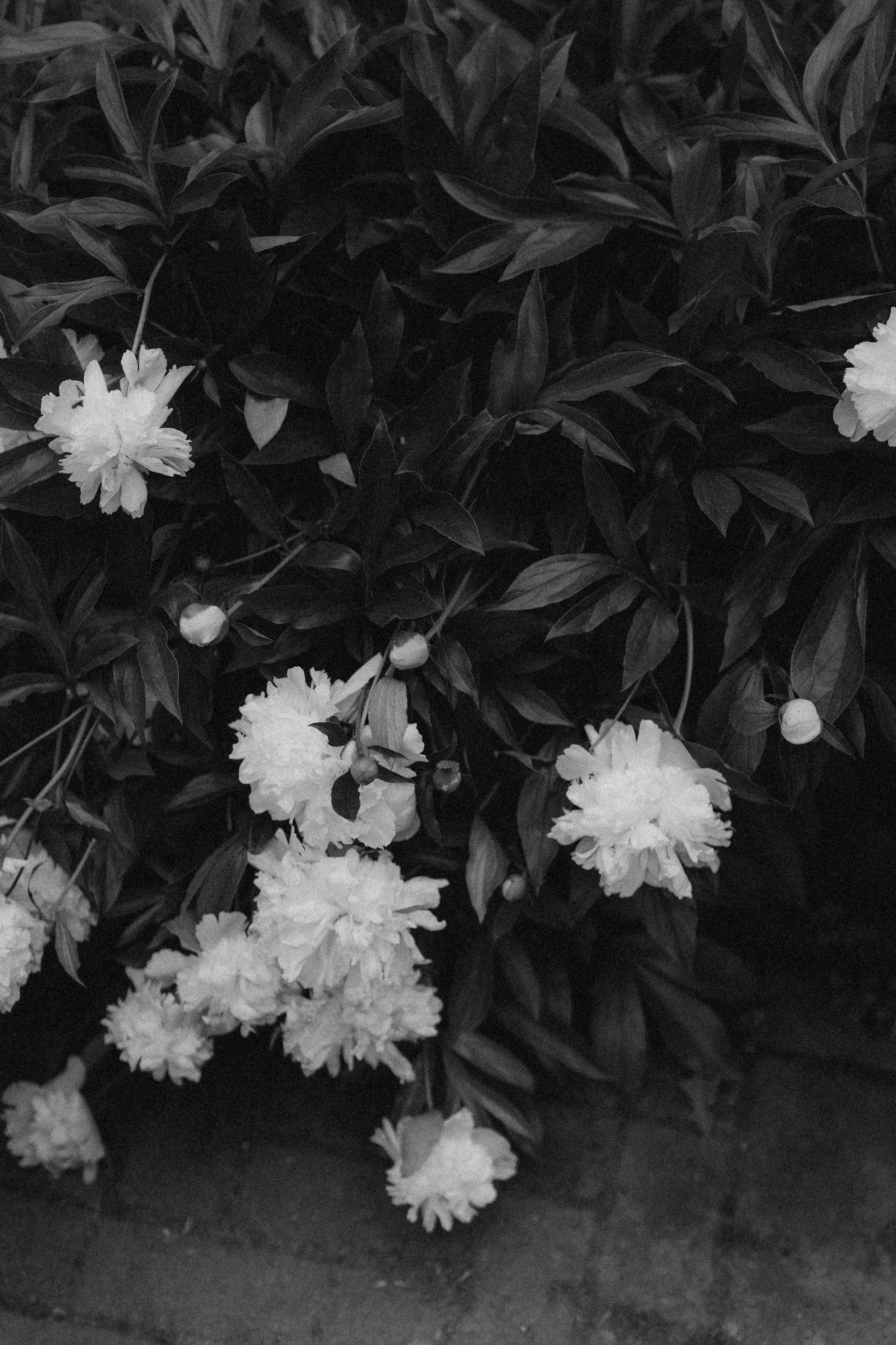 B & E. Fabienne Joelle Photography