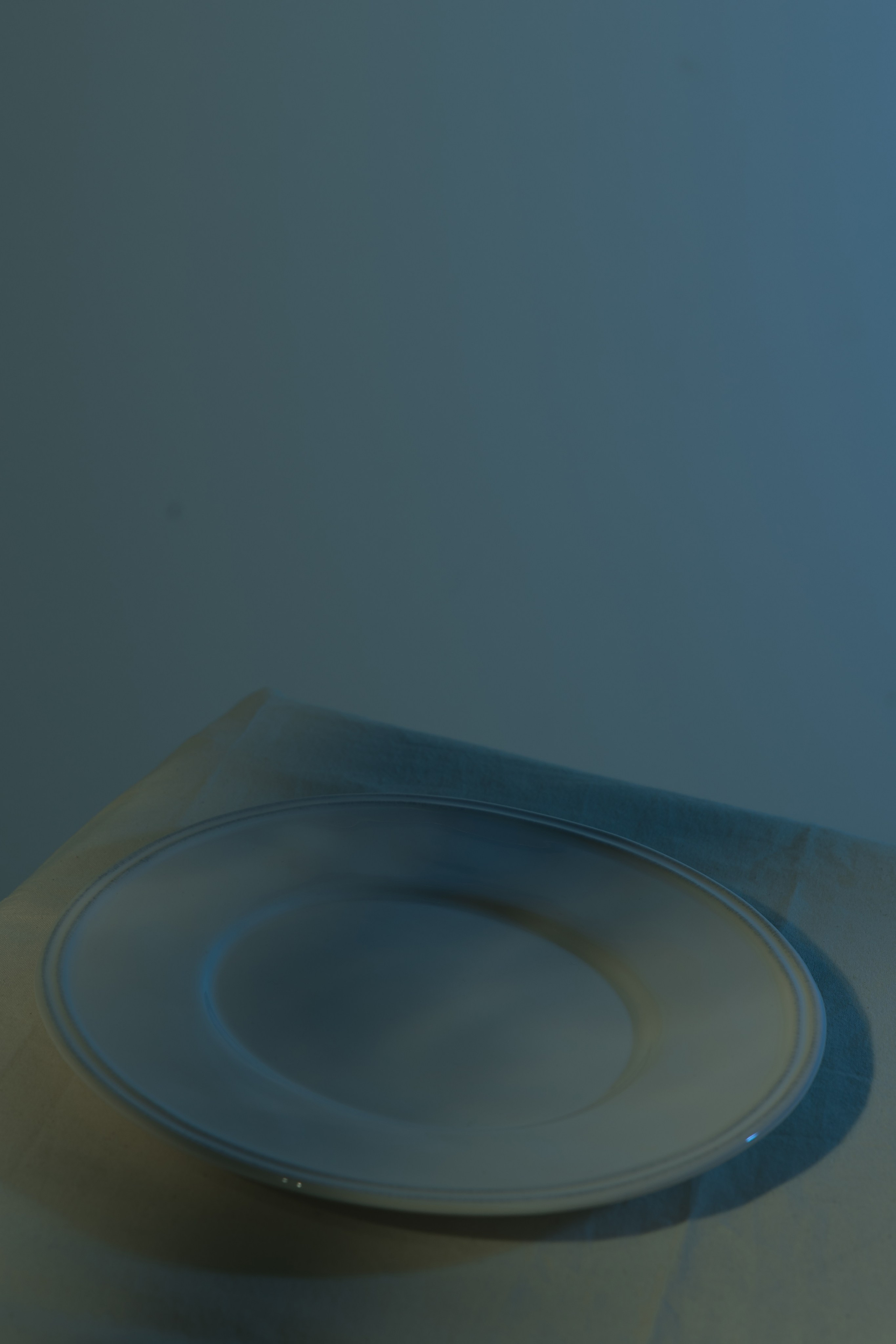 Friends or foes. Maija Bondar Photographer