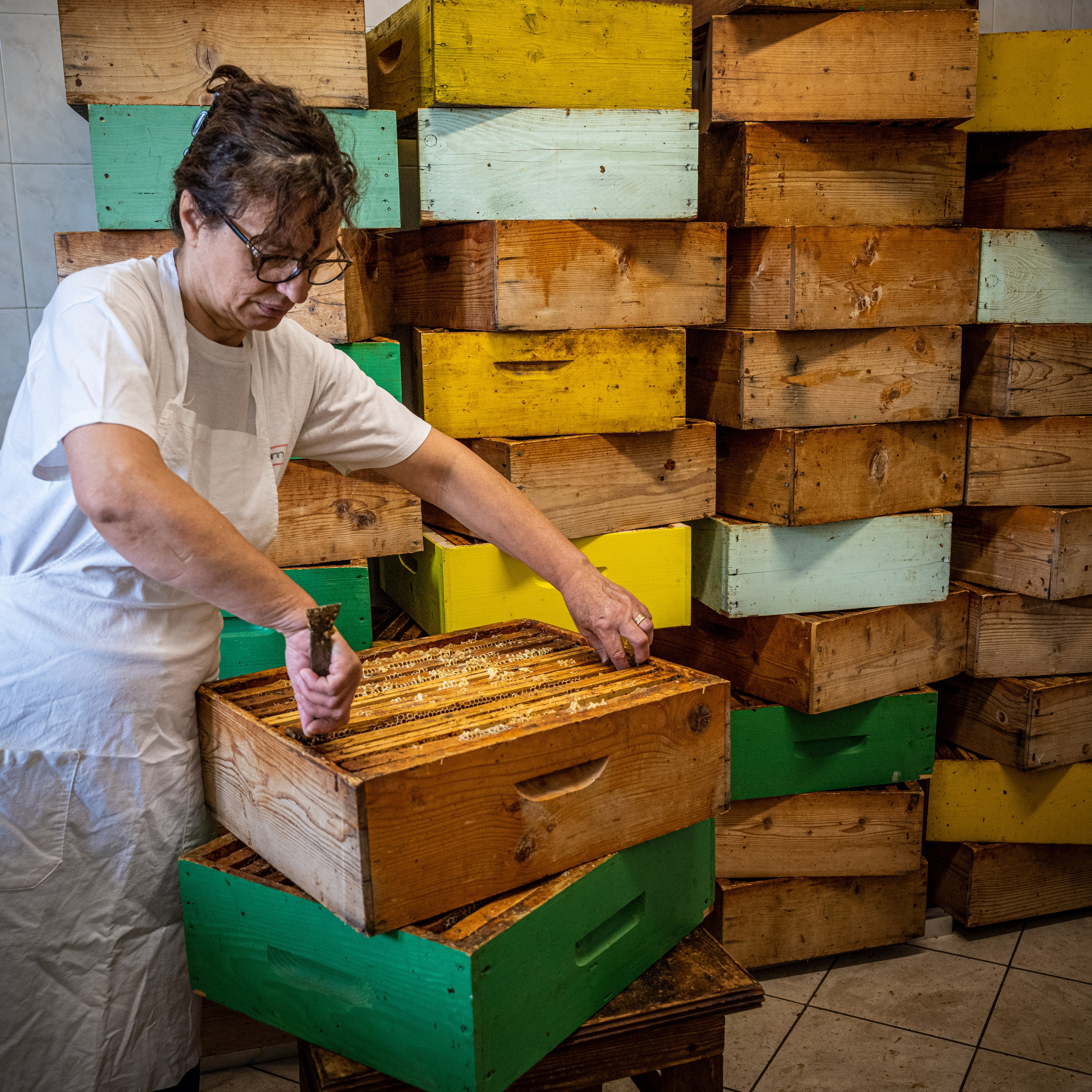 Apicultura Bergadano. “Gianmaria Coscia fotografo per passione”