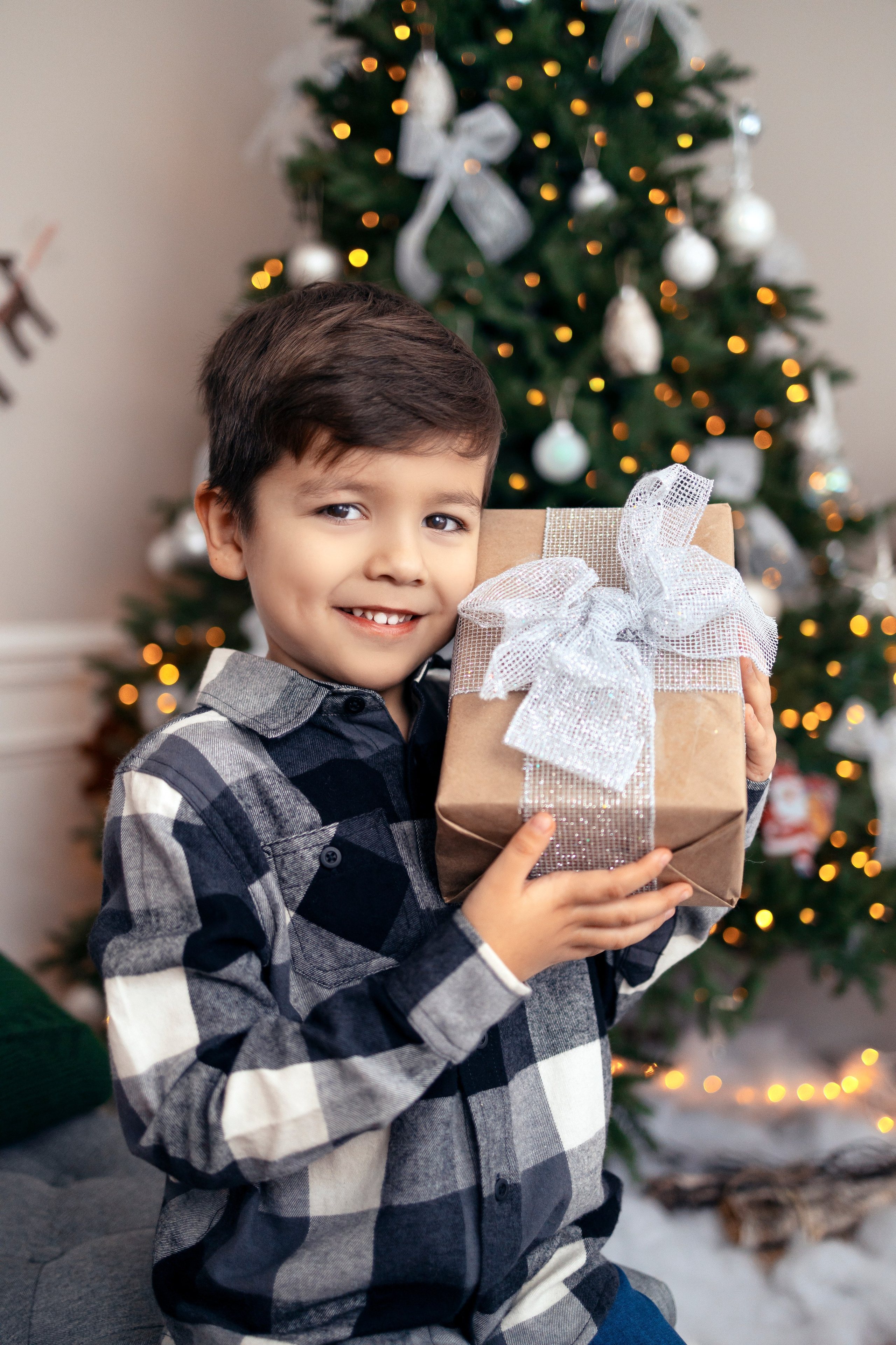 Christmas. Anaeliseevaphoto.com