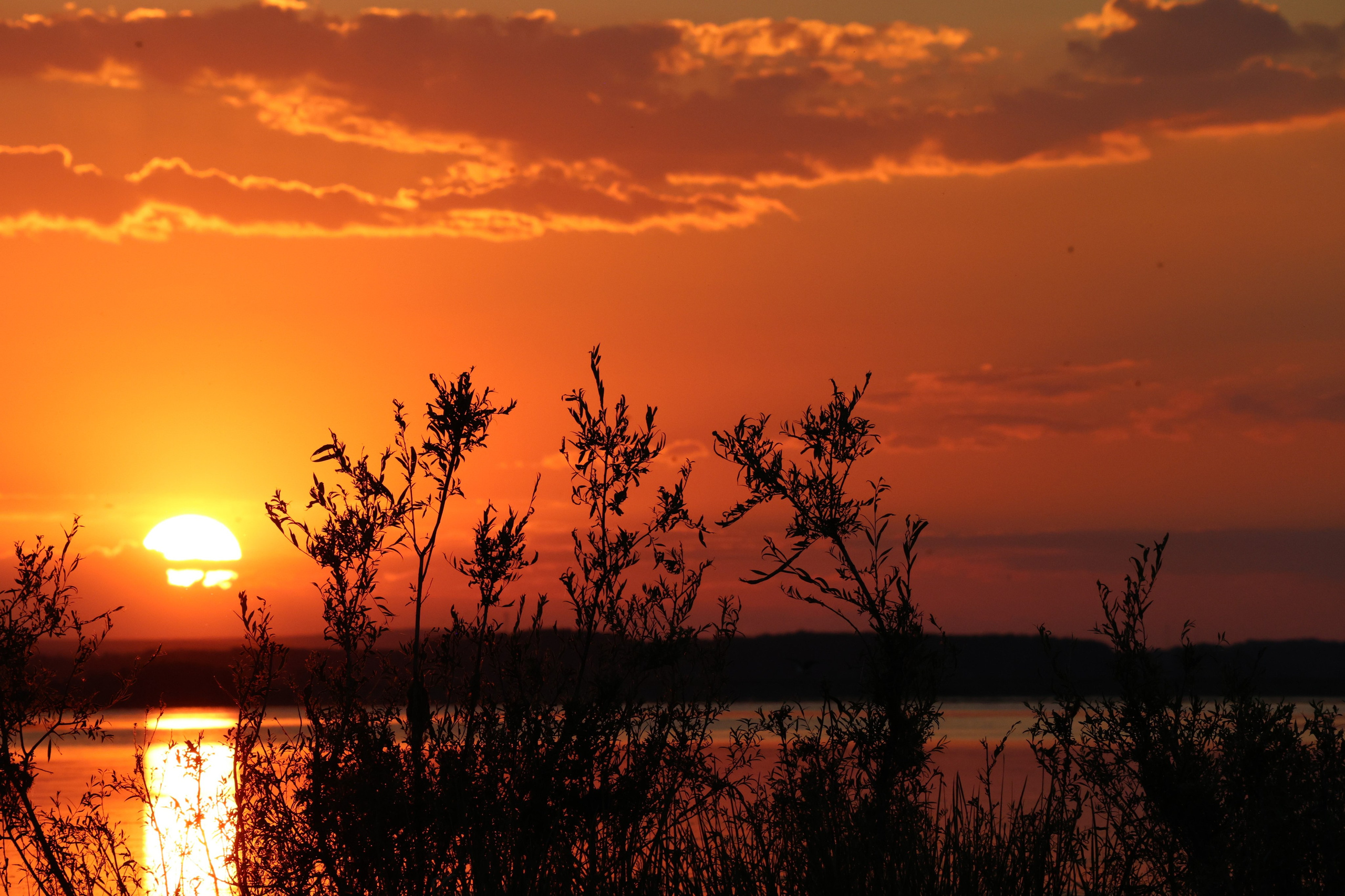 Delta Dunarii. Http://www.alexphoto.ro