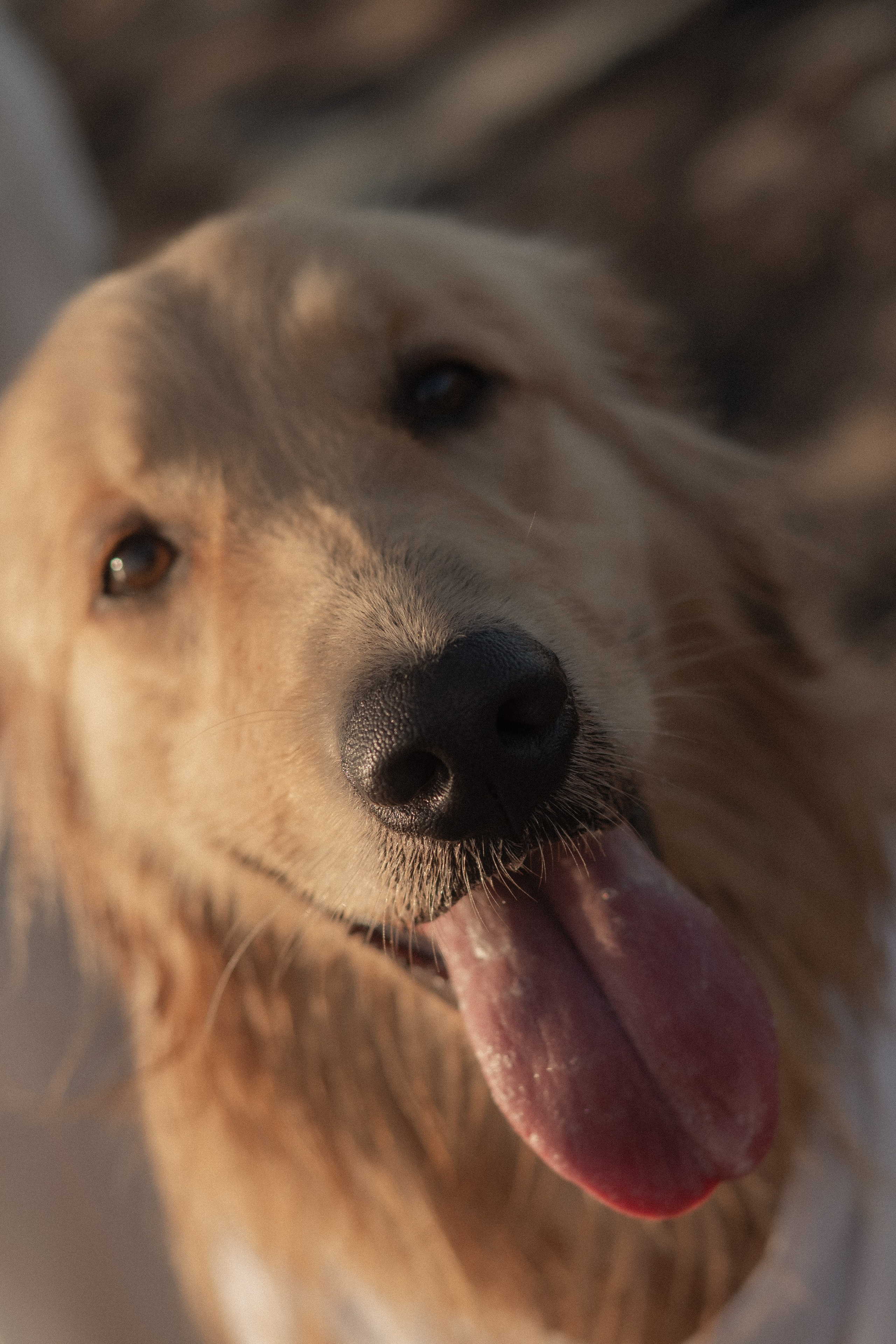 Isabella & Rodrigo | Vila Velha — ES. Lembrar não é só ver. É sentir de novo