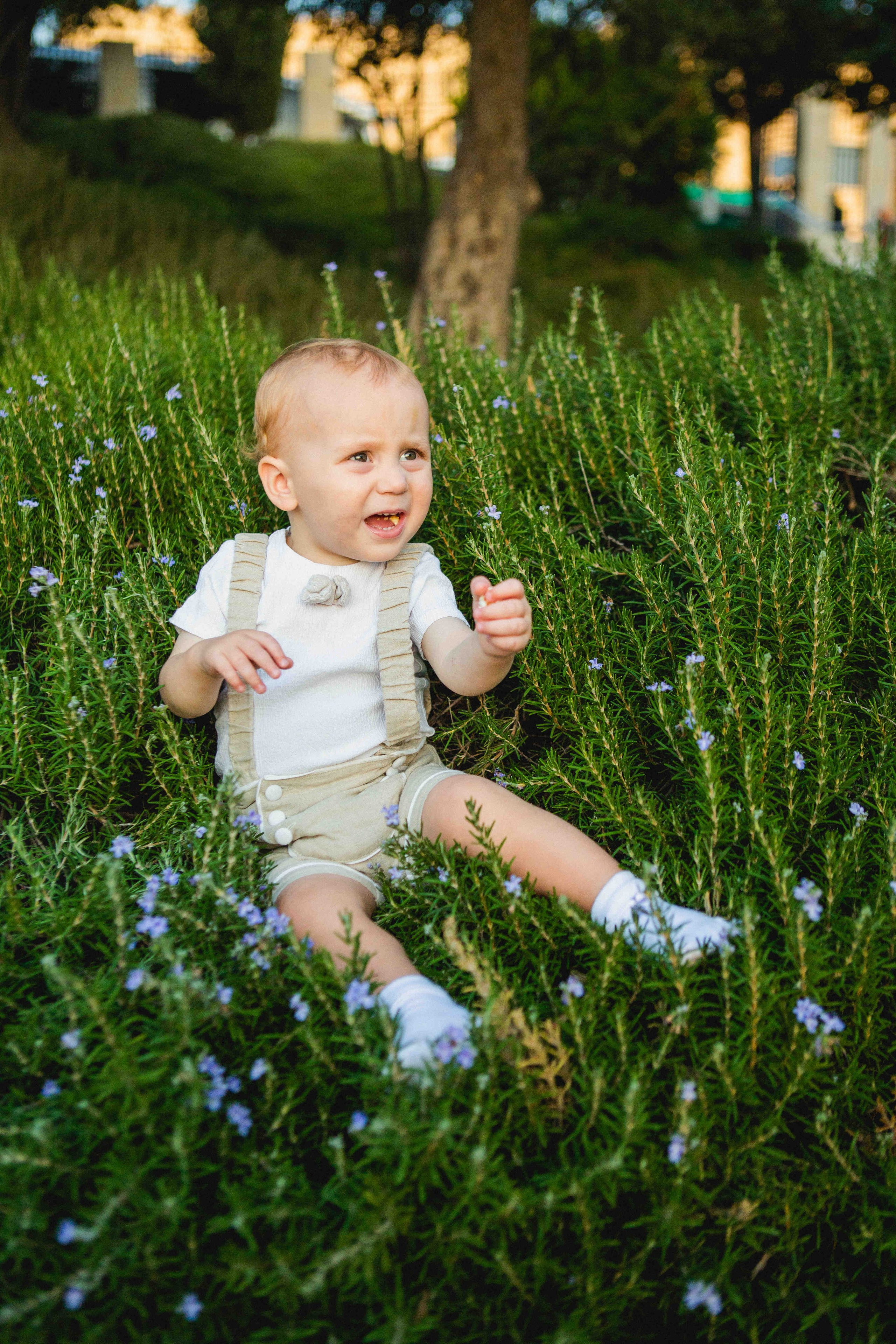 JERUSALEM CENTER. Https://shi-photo.com/
