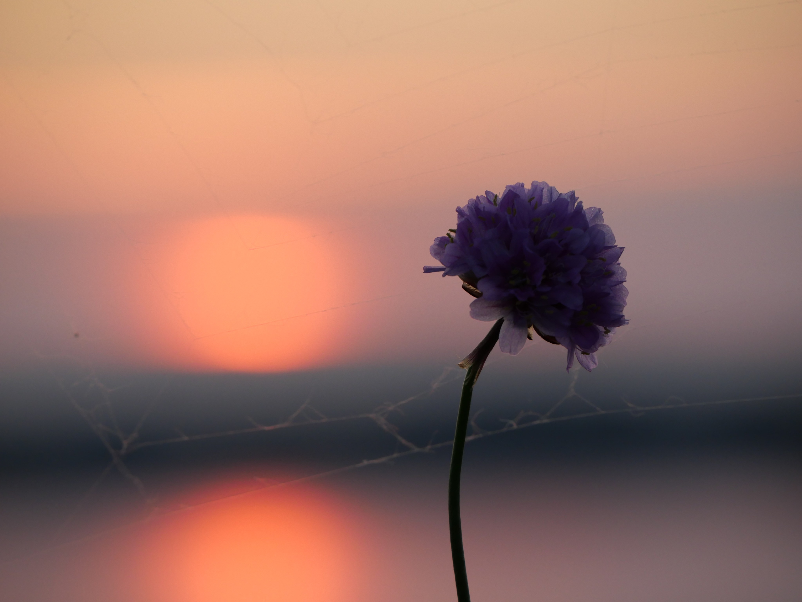 Portfolio. Photographer in Sotenäs municipality. Fotograf i Sotenäs kommun