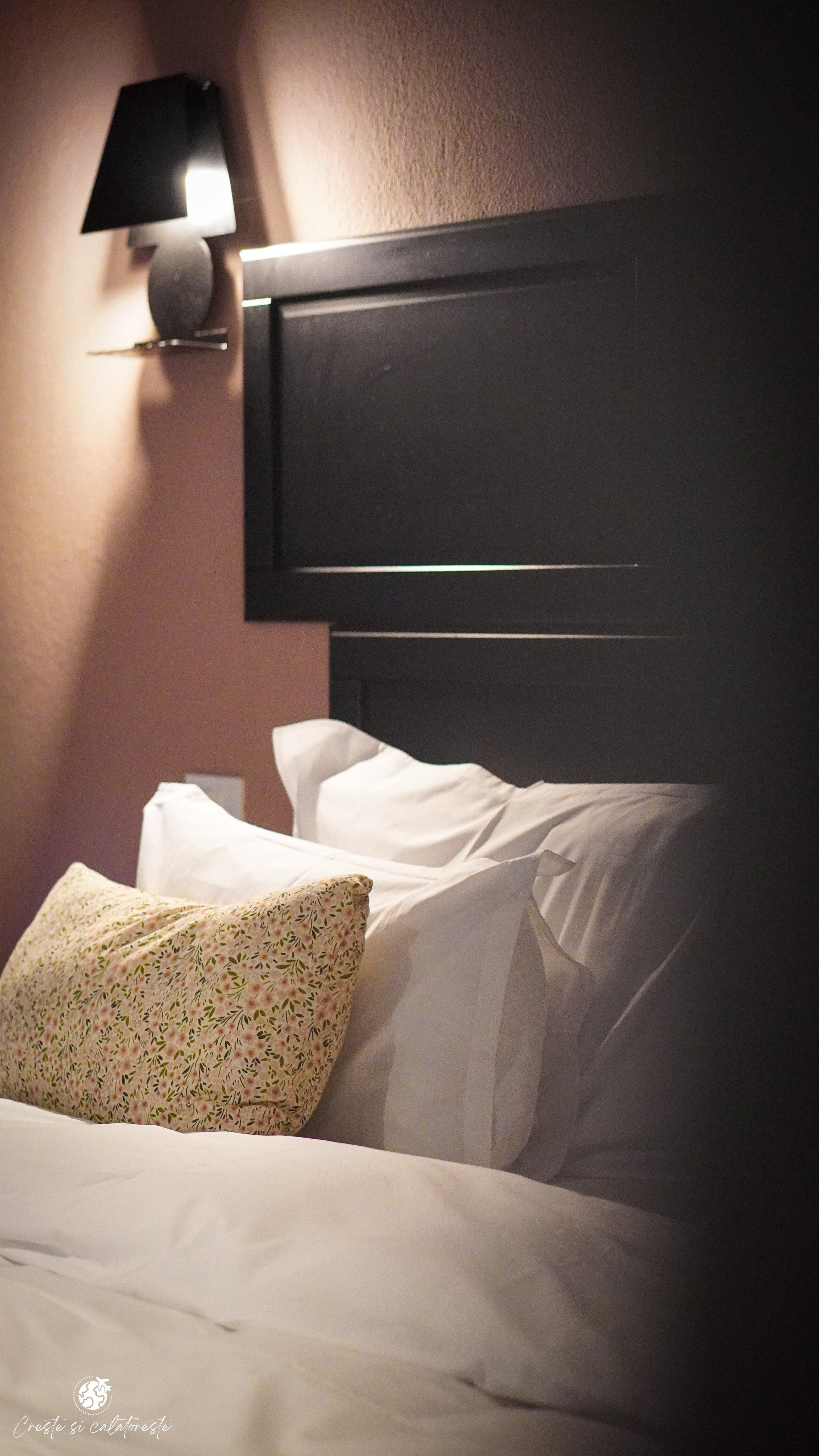 Bransilvania. Creste si calatoreste