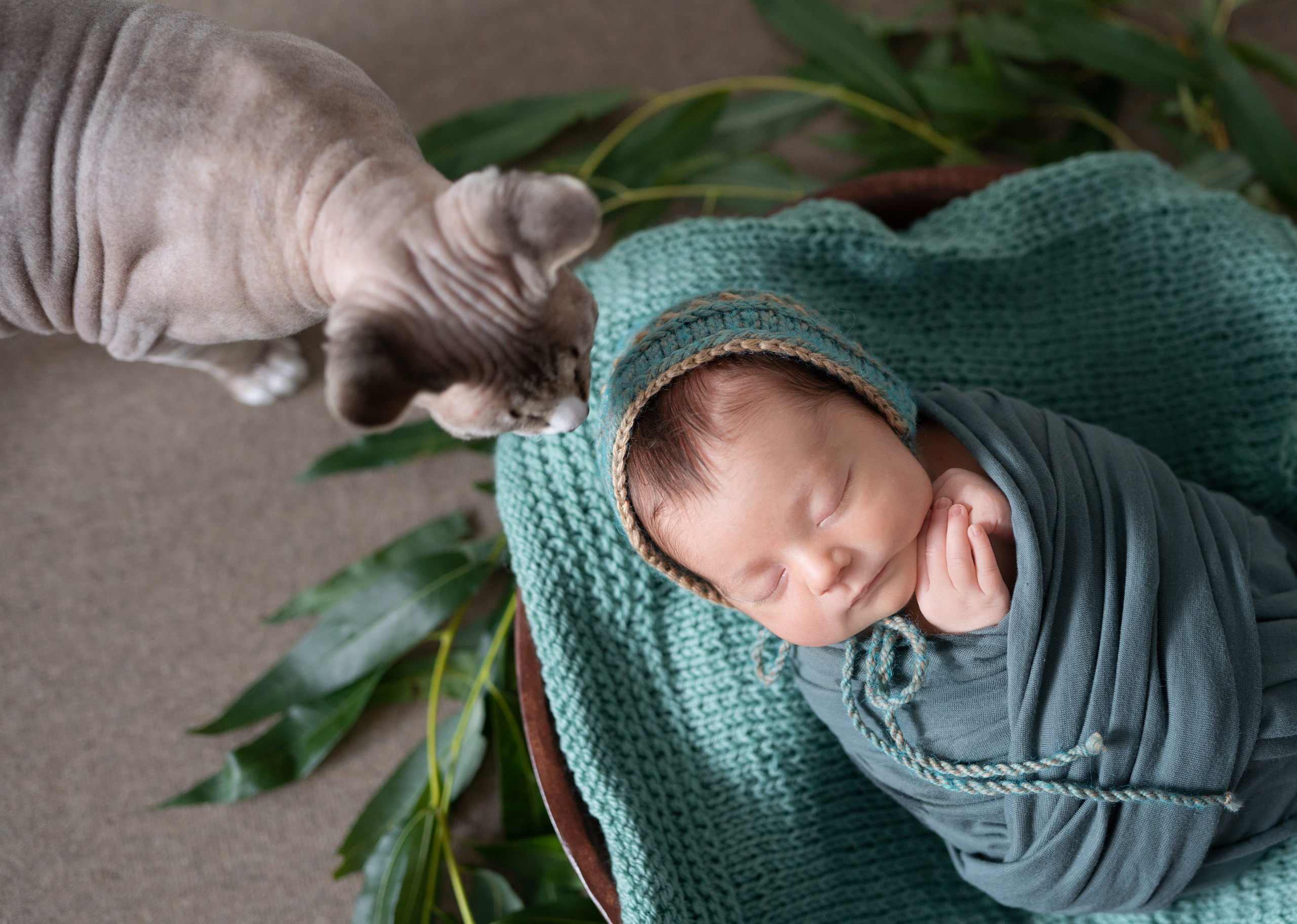 Алиса. Фотограф новорожденных и детей первого года Евгения Михалькевич