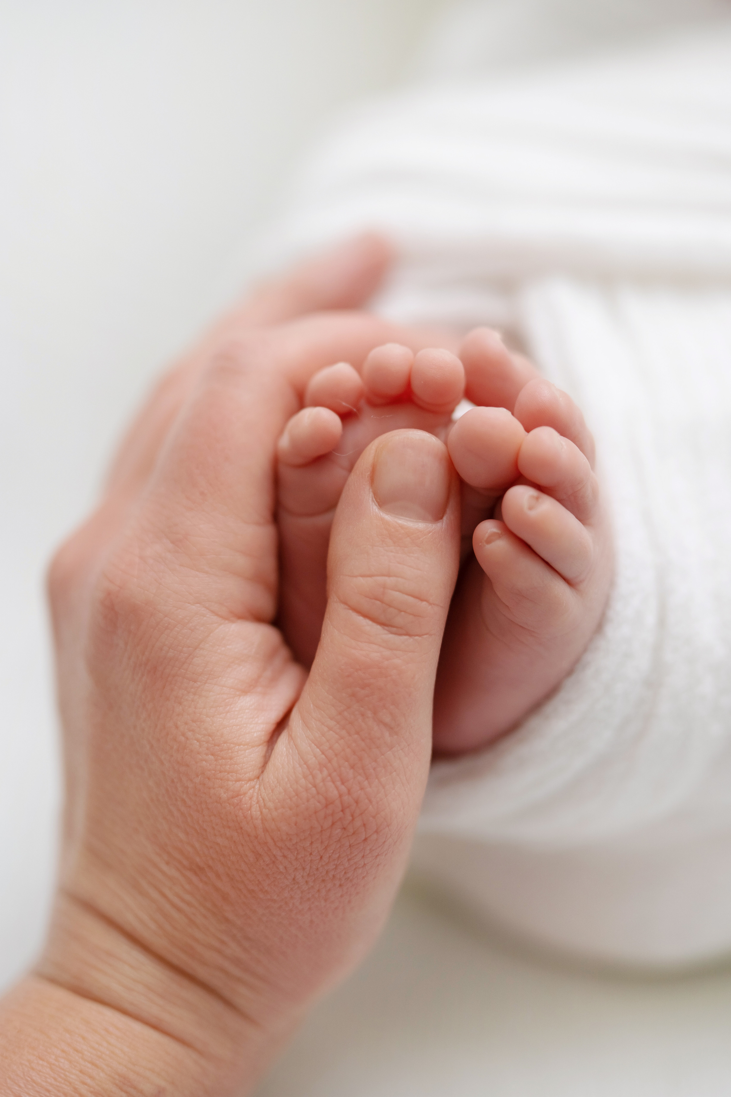 Степан. Фотограф новорожденных и детей первого года Евгения Михалькевич