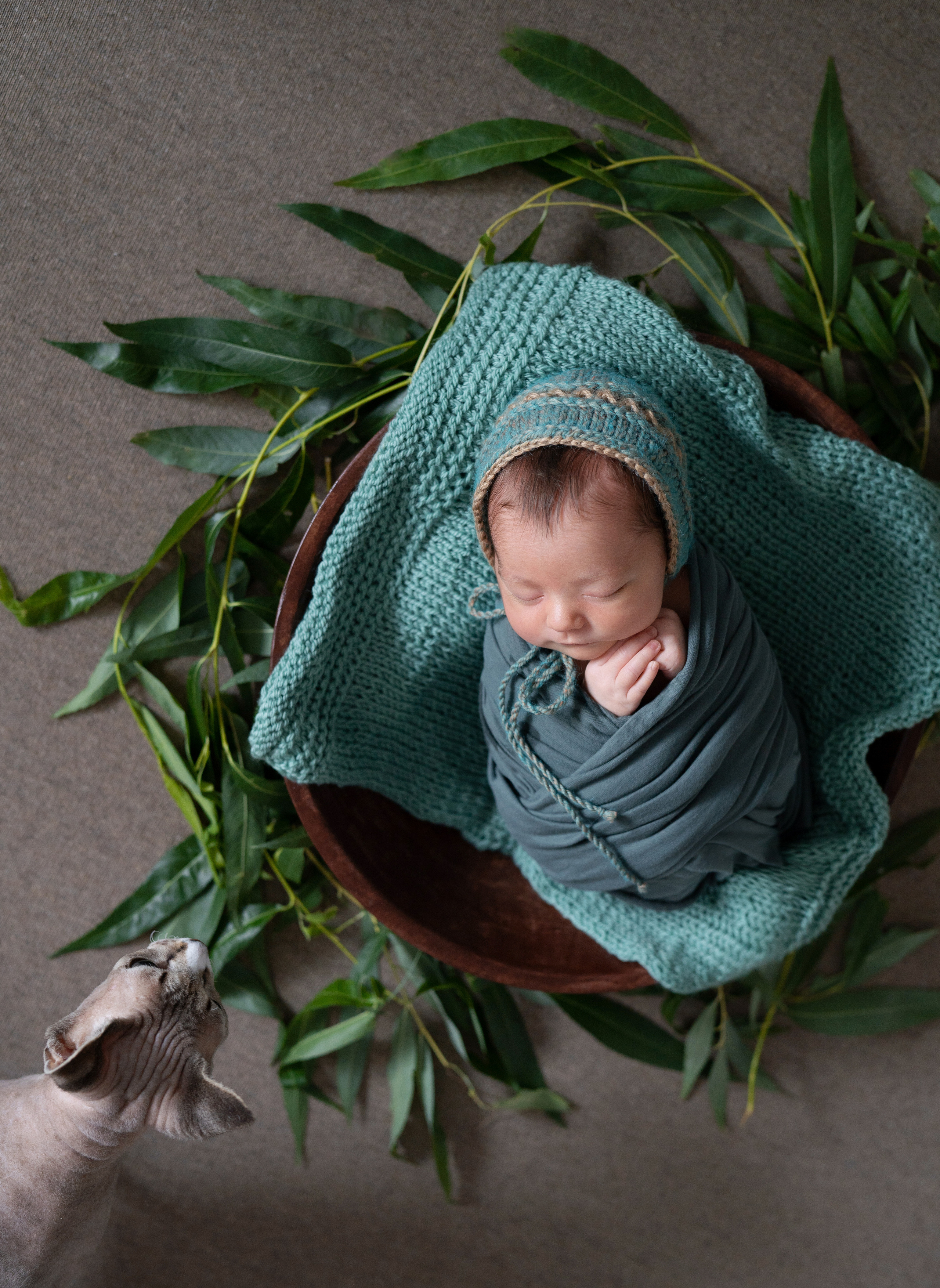 Алиса. Фотограф новорожденных и детей первого года Евгения Михалькевич