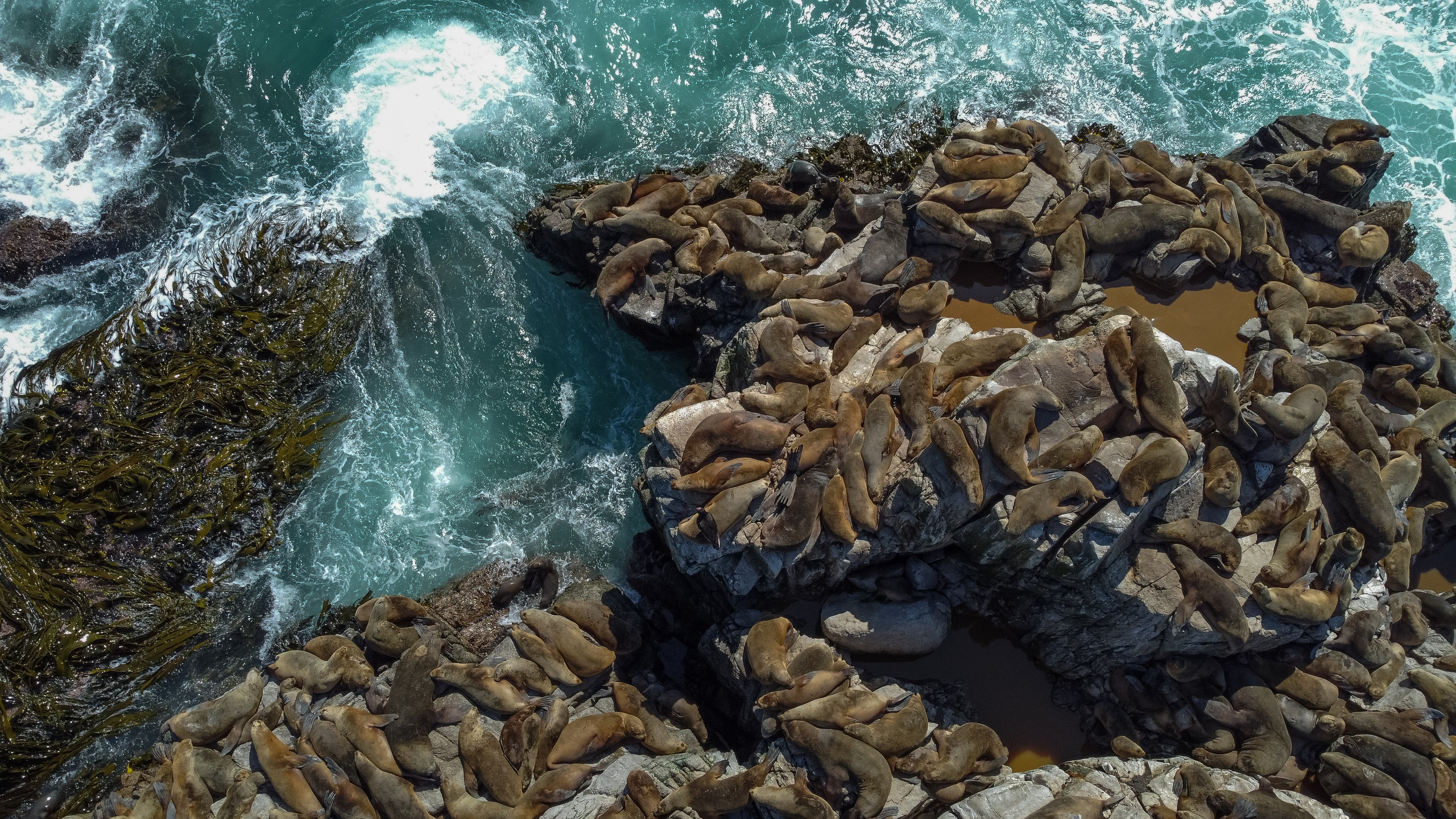 PATAGONIE. Photographe Karen Tatevosian