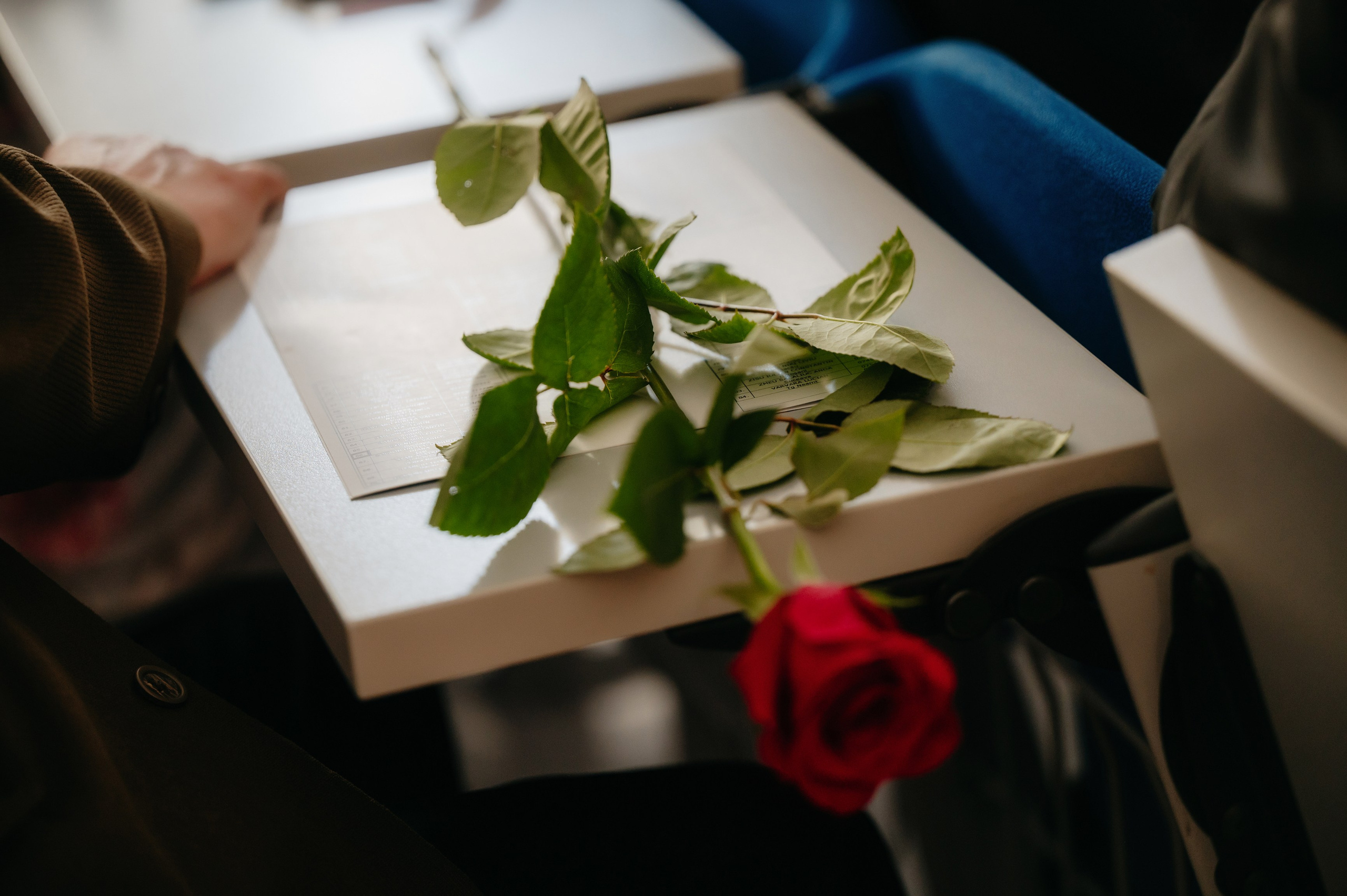 Medicina Veterinara — dupa 30 de ani…. Laurentiu Stefan StoryTeller