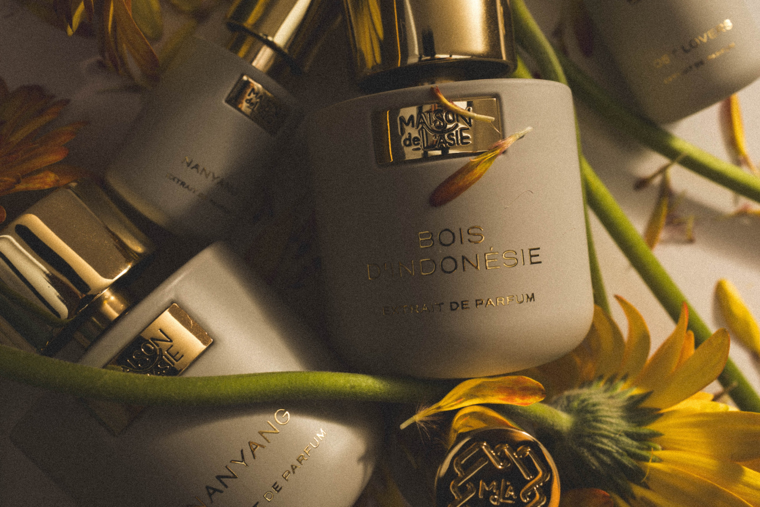 Photography in Singapore