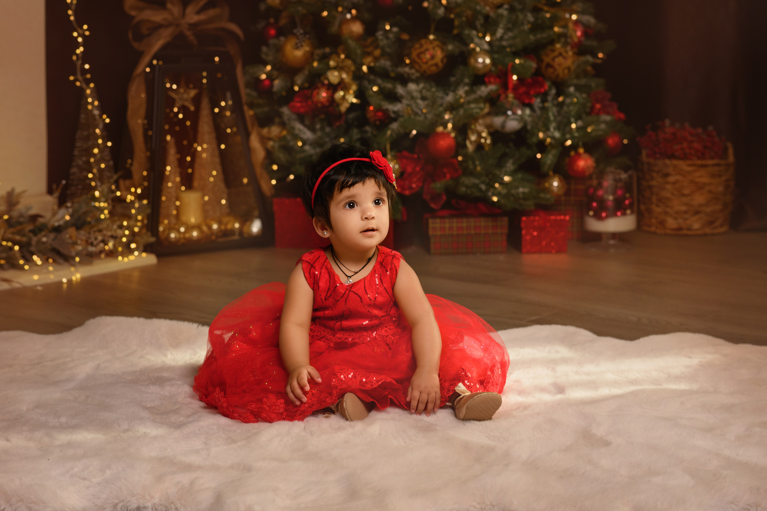 Priyanka and her family. Wedding & family photography in Seattle area. Helen Michelle photographer