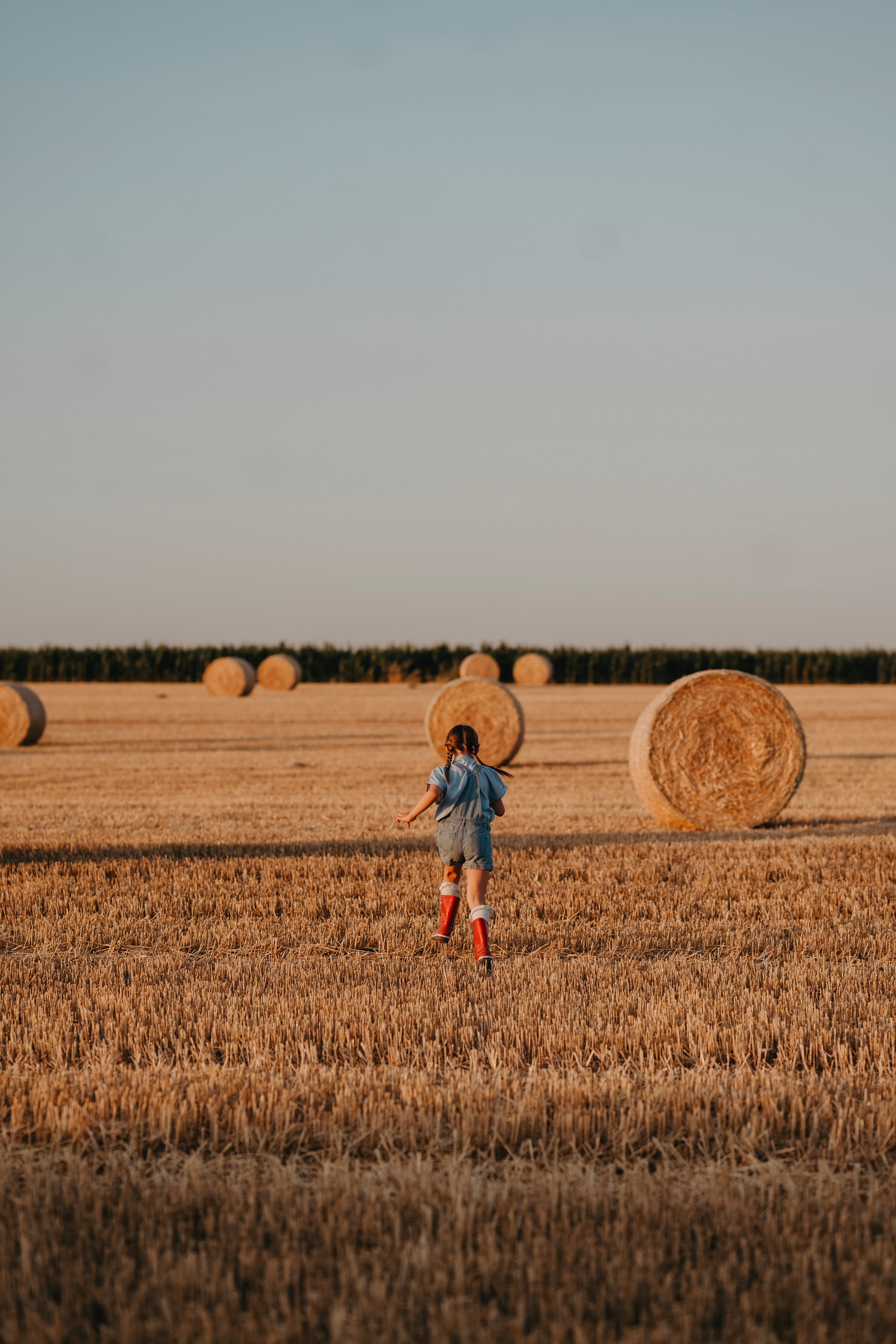 Letnje fotografisanje u polju suncokreta i sena. Deciji i porodicni fotograf u Beogradu Oksana Skendzic