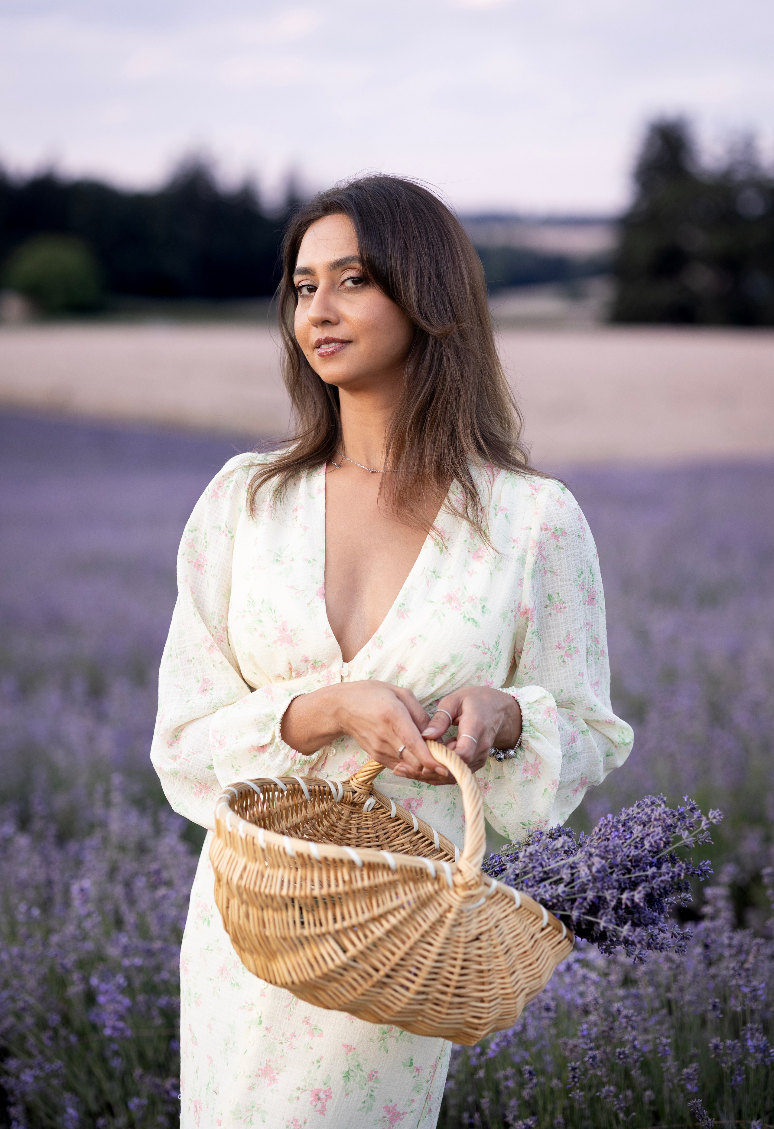 Lavendel. Photographer in Munich