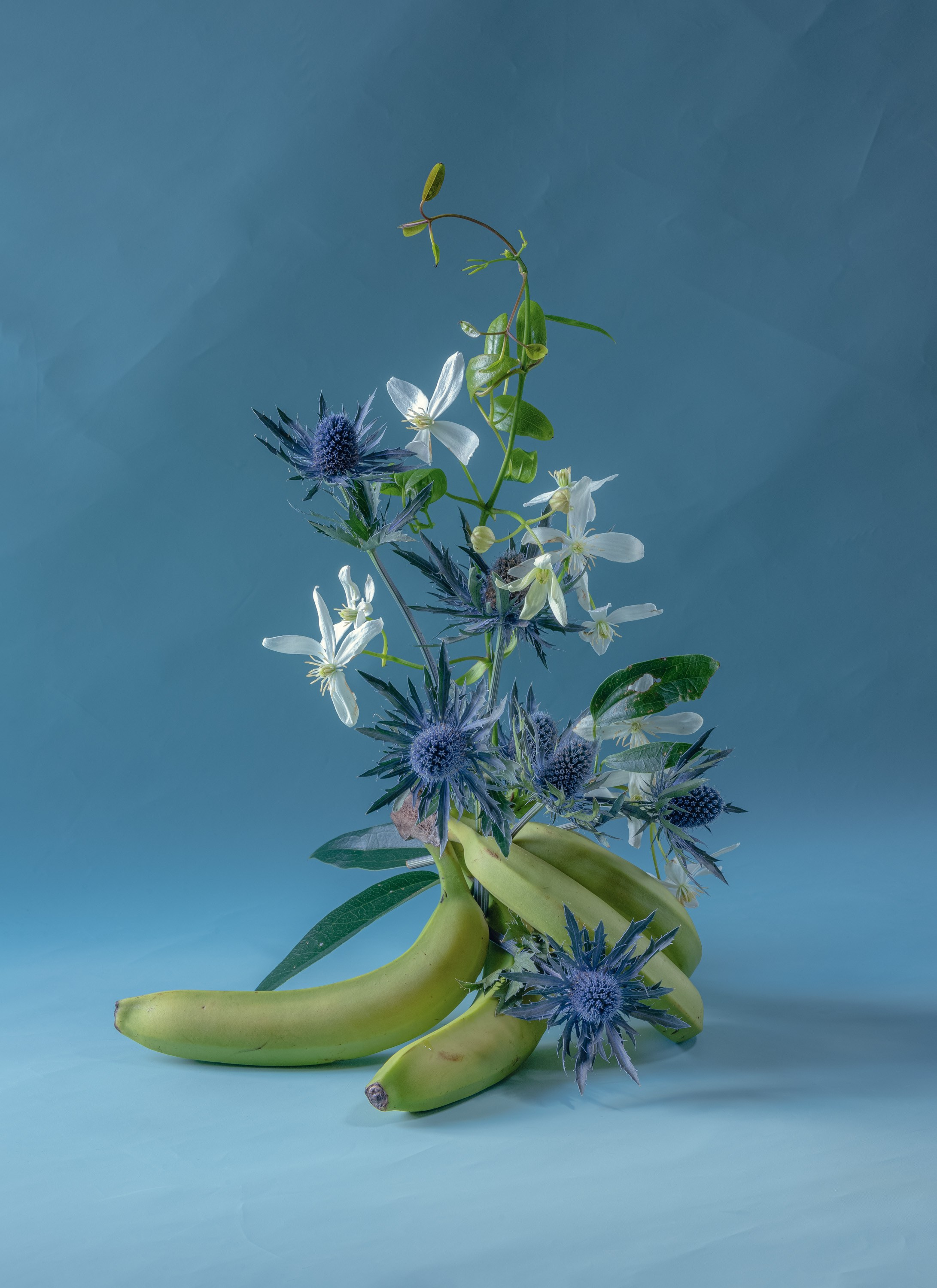 still life contemporary composition 