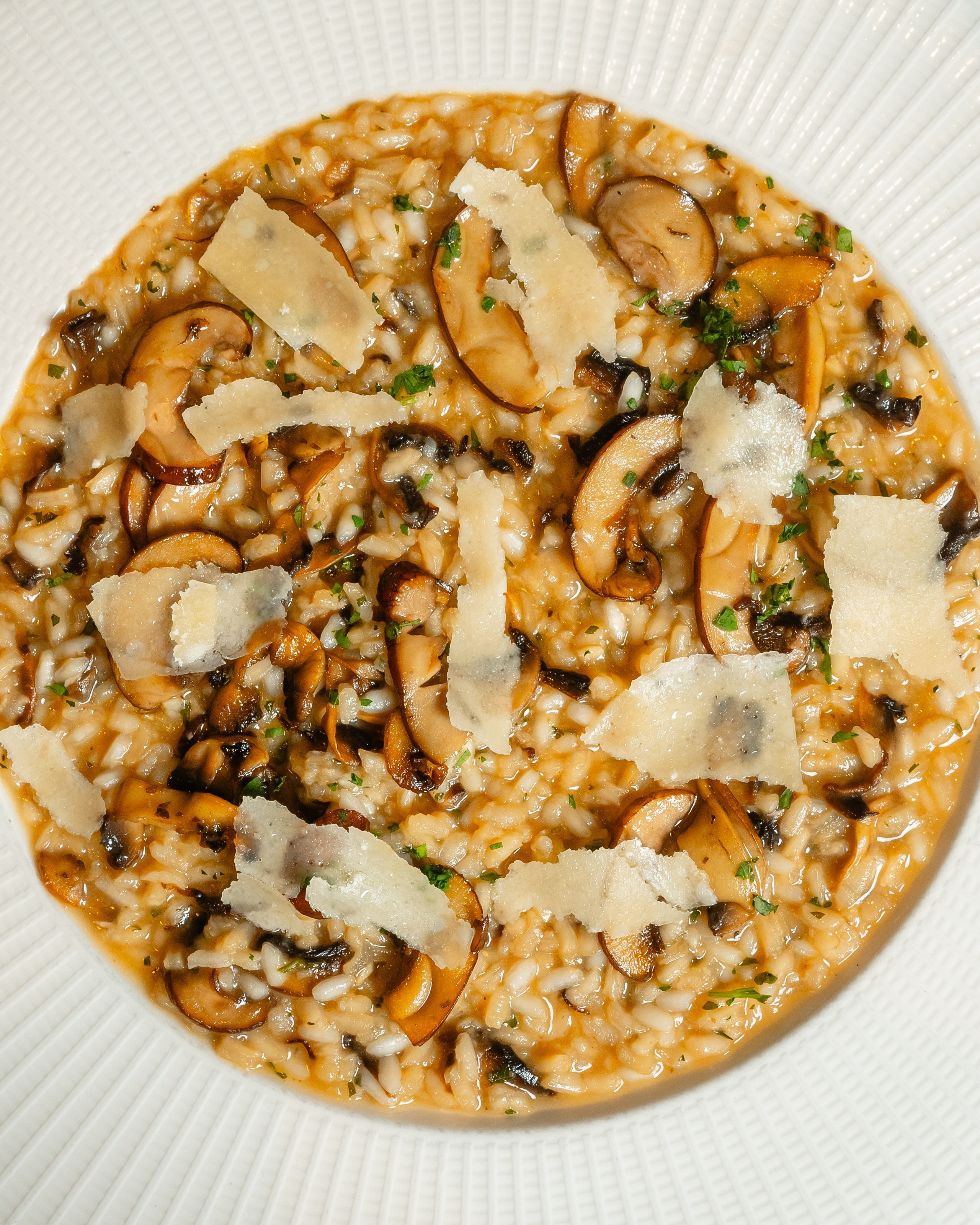 Luna. Welcome to my video and photo world!