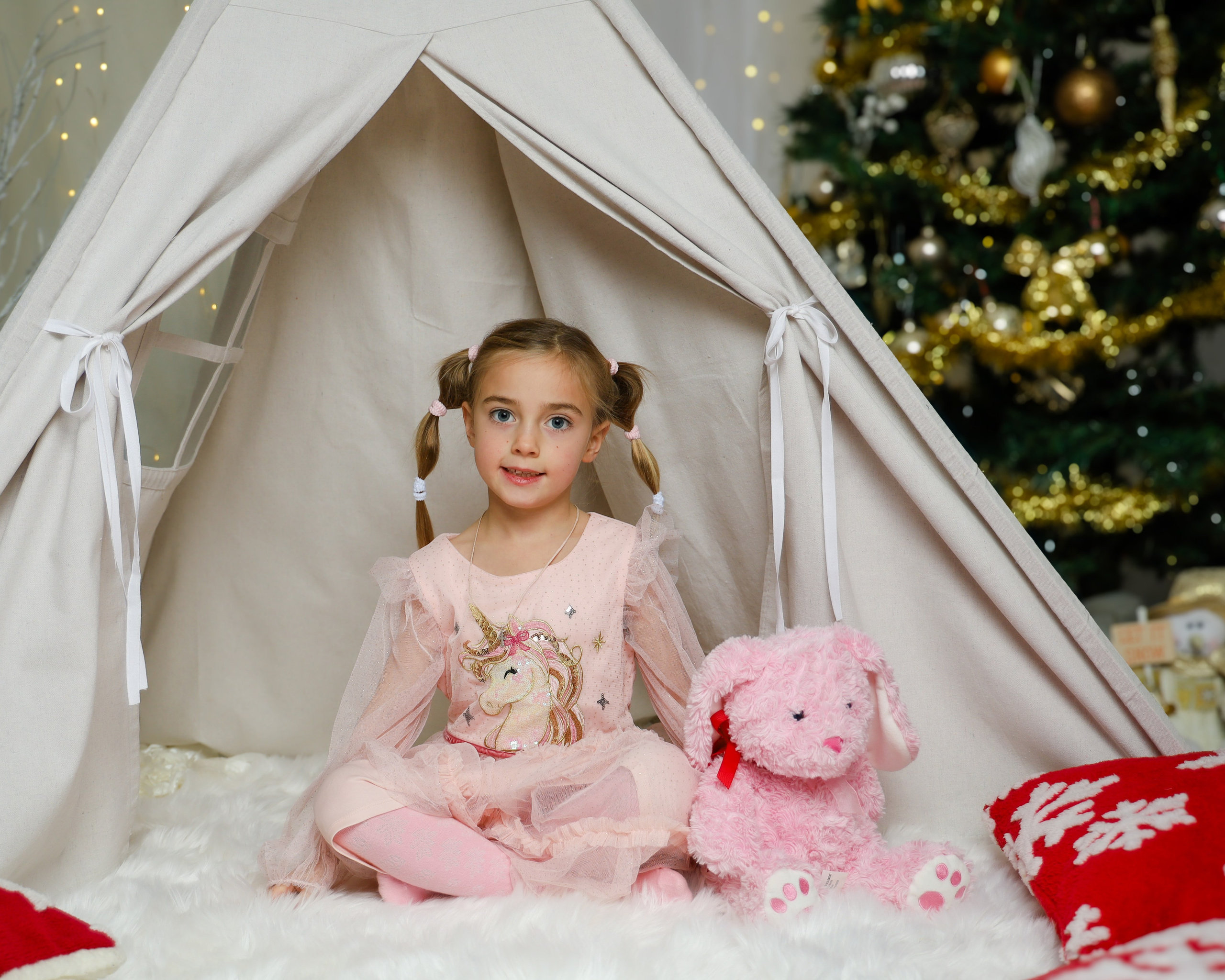 Christmas. Olga Rocheva Photography