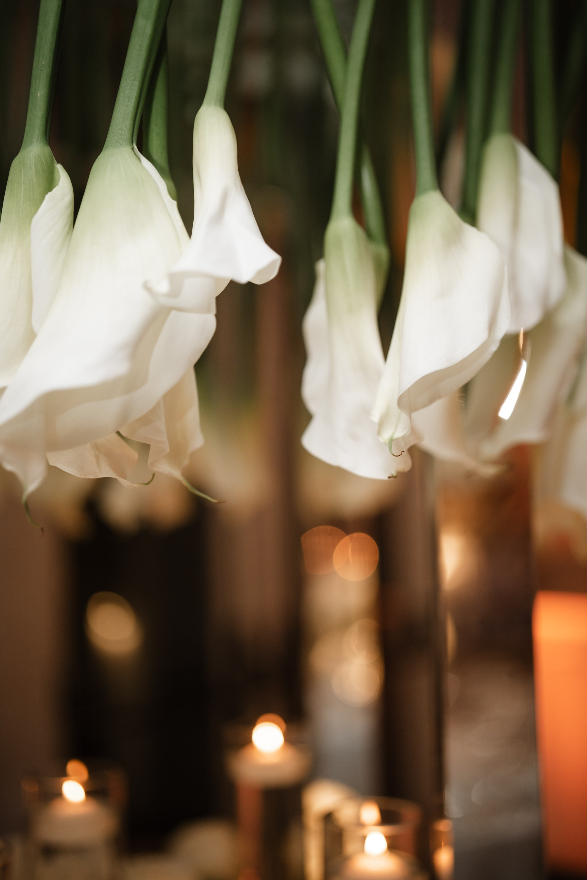 Oct 2025 — Priscilla and Keith’s wedding. Portrait and wedding photographer in New York