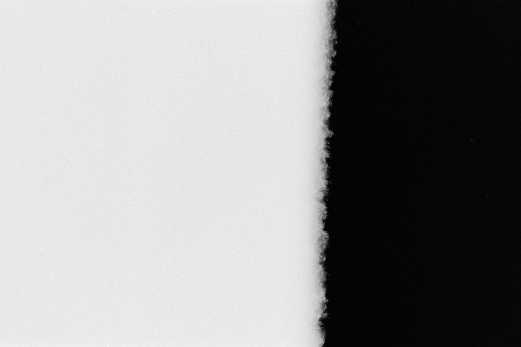 36½. Nina Kordes - Visual Artist