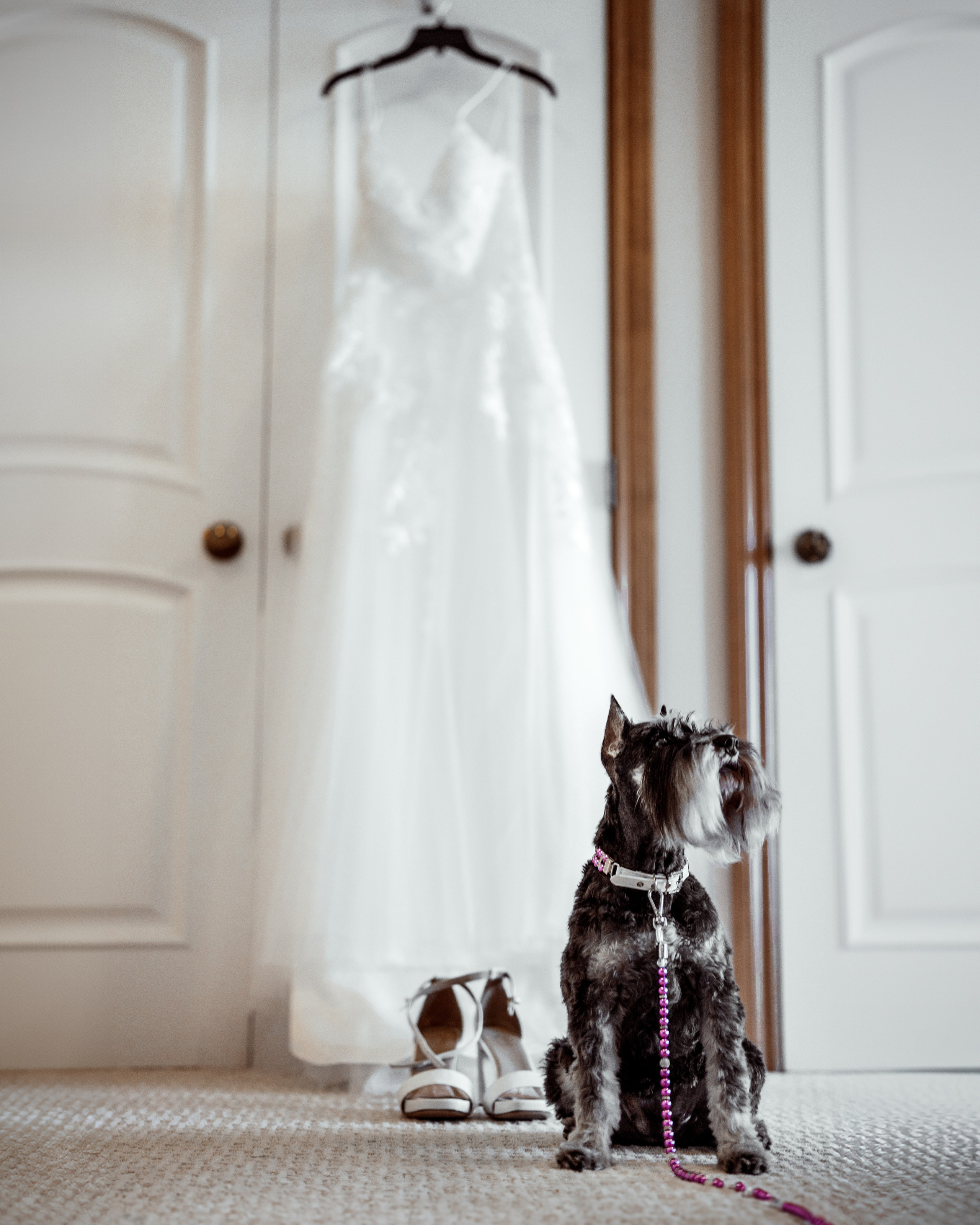 Nick & Jacqueline. MY Photography