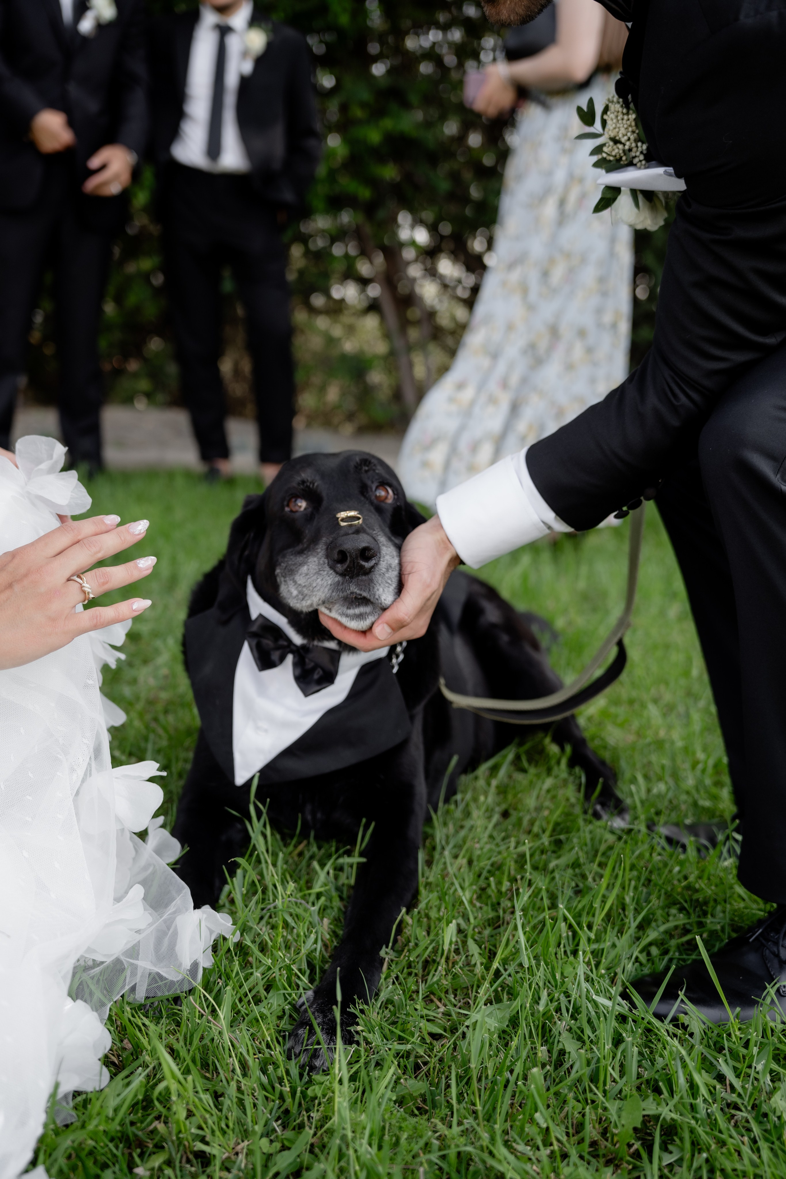 N&R. Orange County Wedding Photographer & Videographer | Candid & Timeless Wedding Photo + Video | Italiantsev