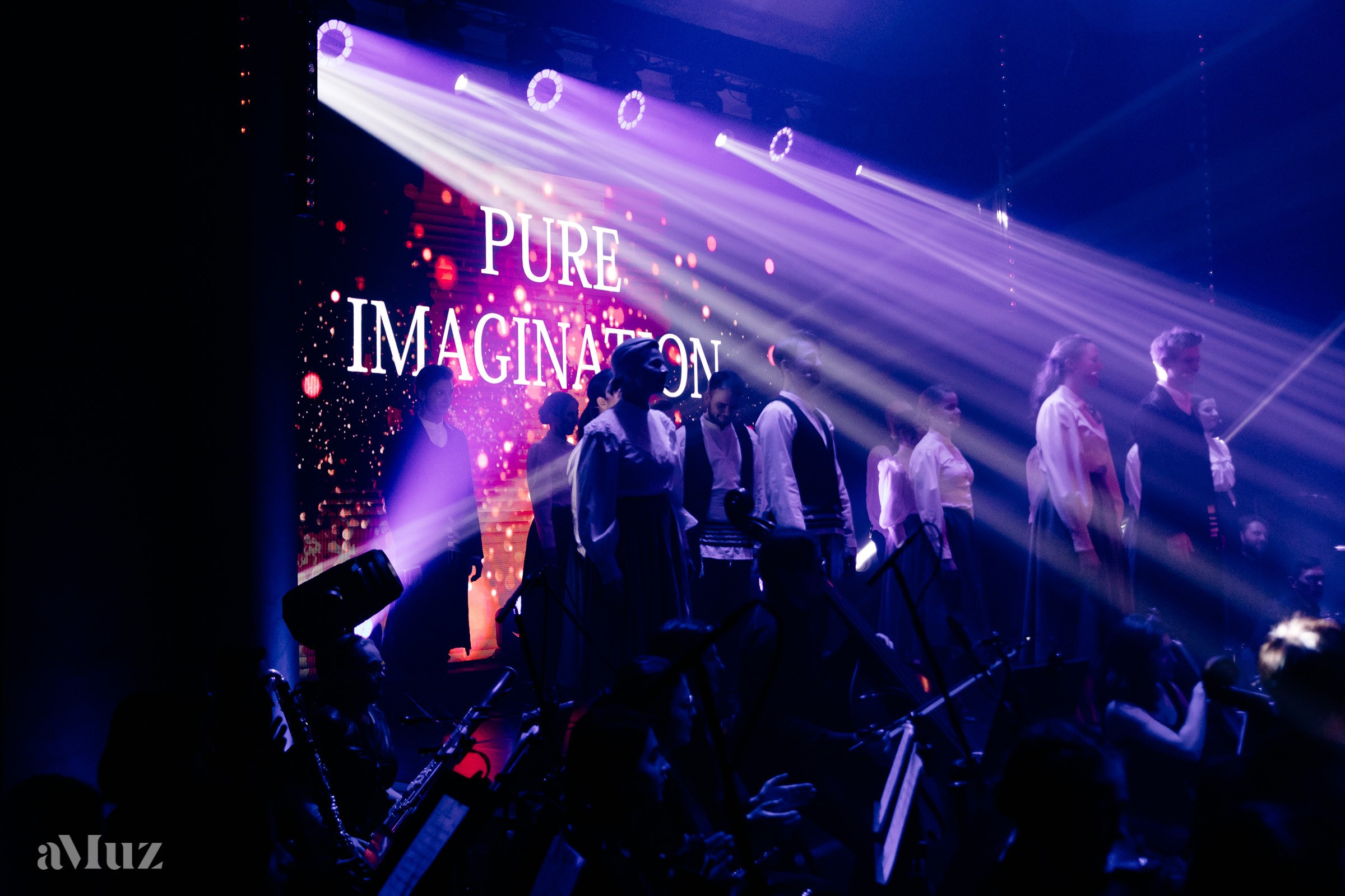 Koncert Amuz.pl. Fotograf Ślubny Warszawa - Sesje Biznesowe Rodzinne Eventy