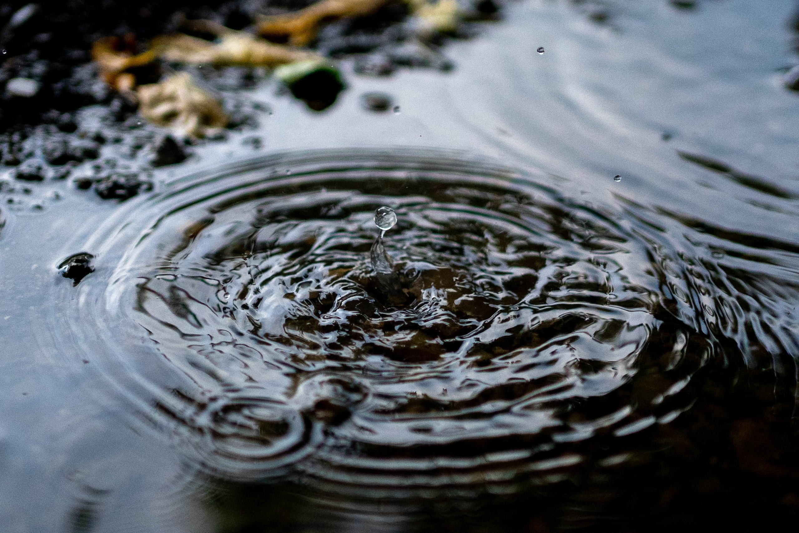 Andreea & Catalin. Fotograf evenimente, fotograf nunta, fotograf botez