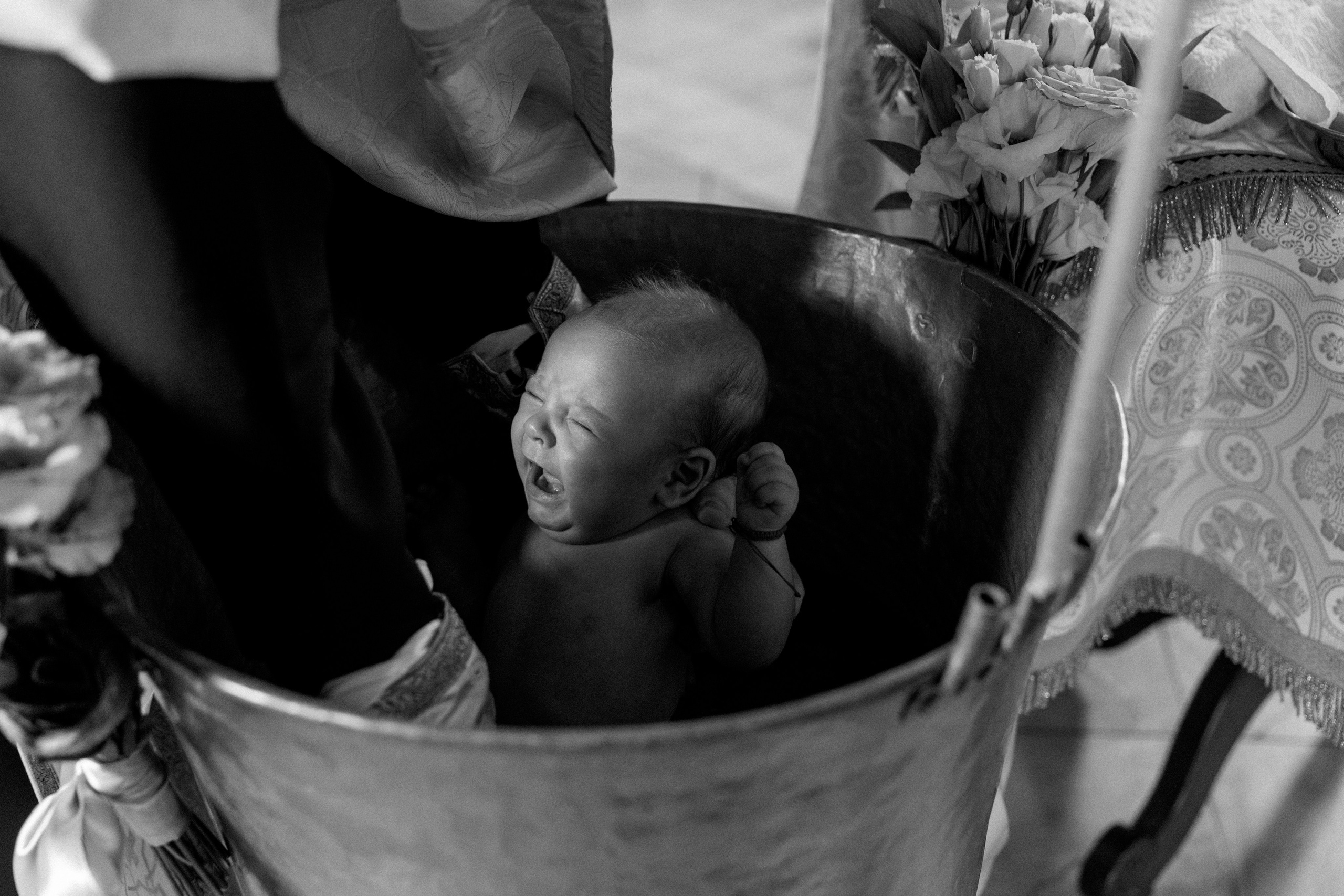 Baby Iris. Gabrielacojocariu.com