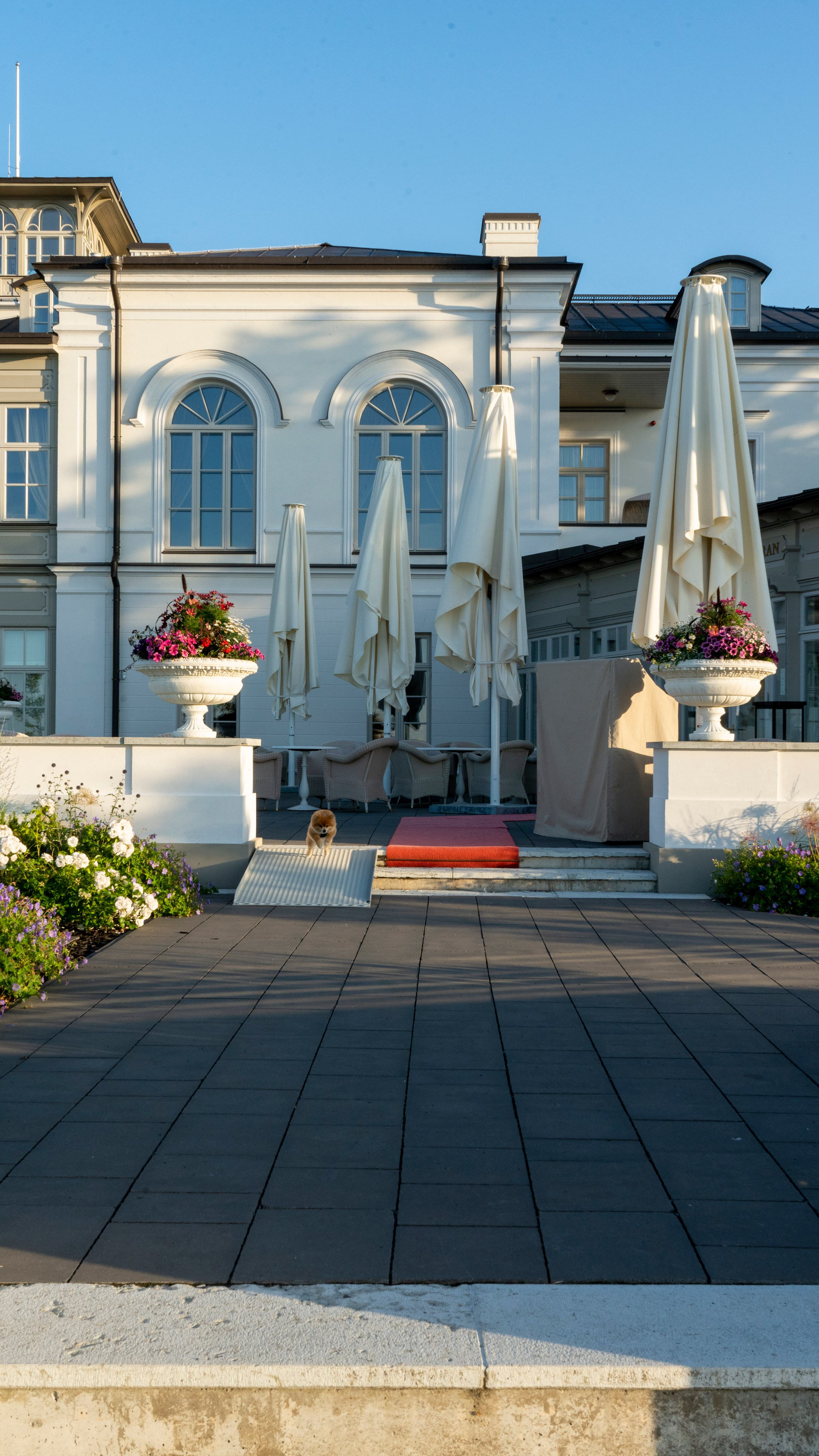 Whispers of Estonia. Photography | Videography | Marketing