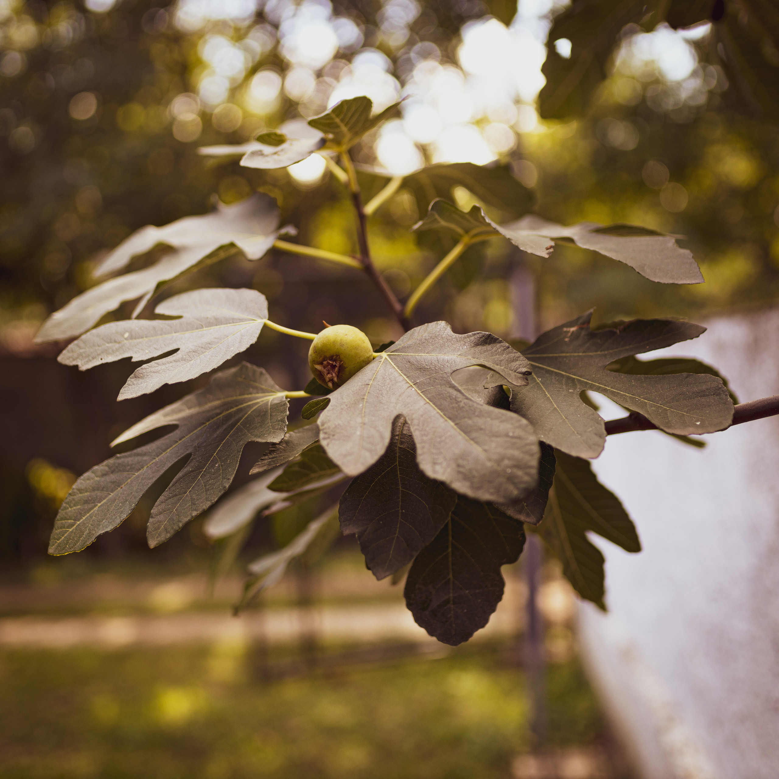 Fotografije enterijera vikendice za odmor u Vrdniku