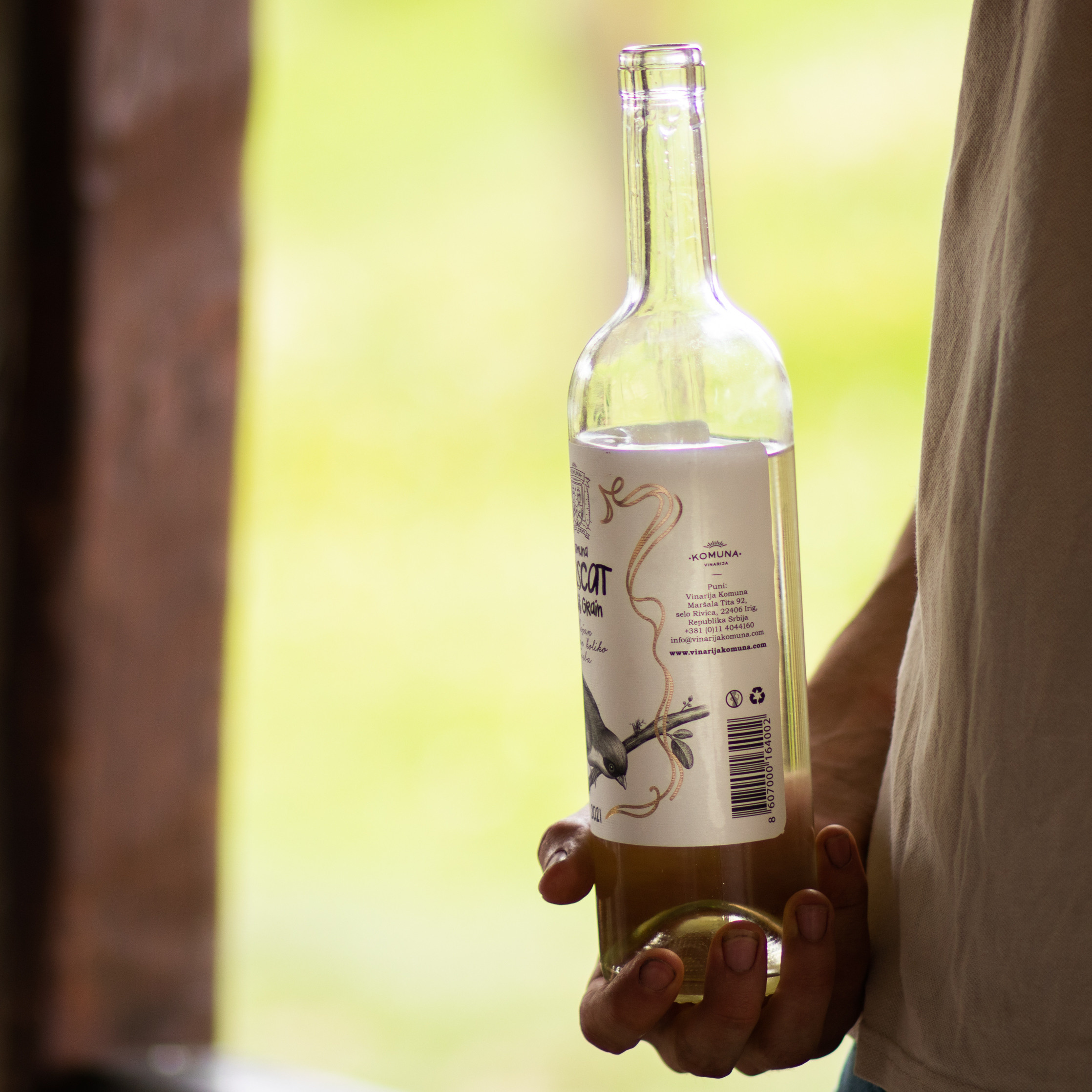 Fotografije skrivene vinarije za odmor za dušu u podnožju Fruške gore