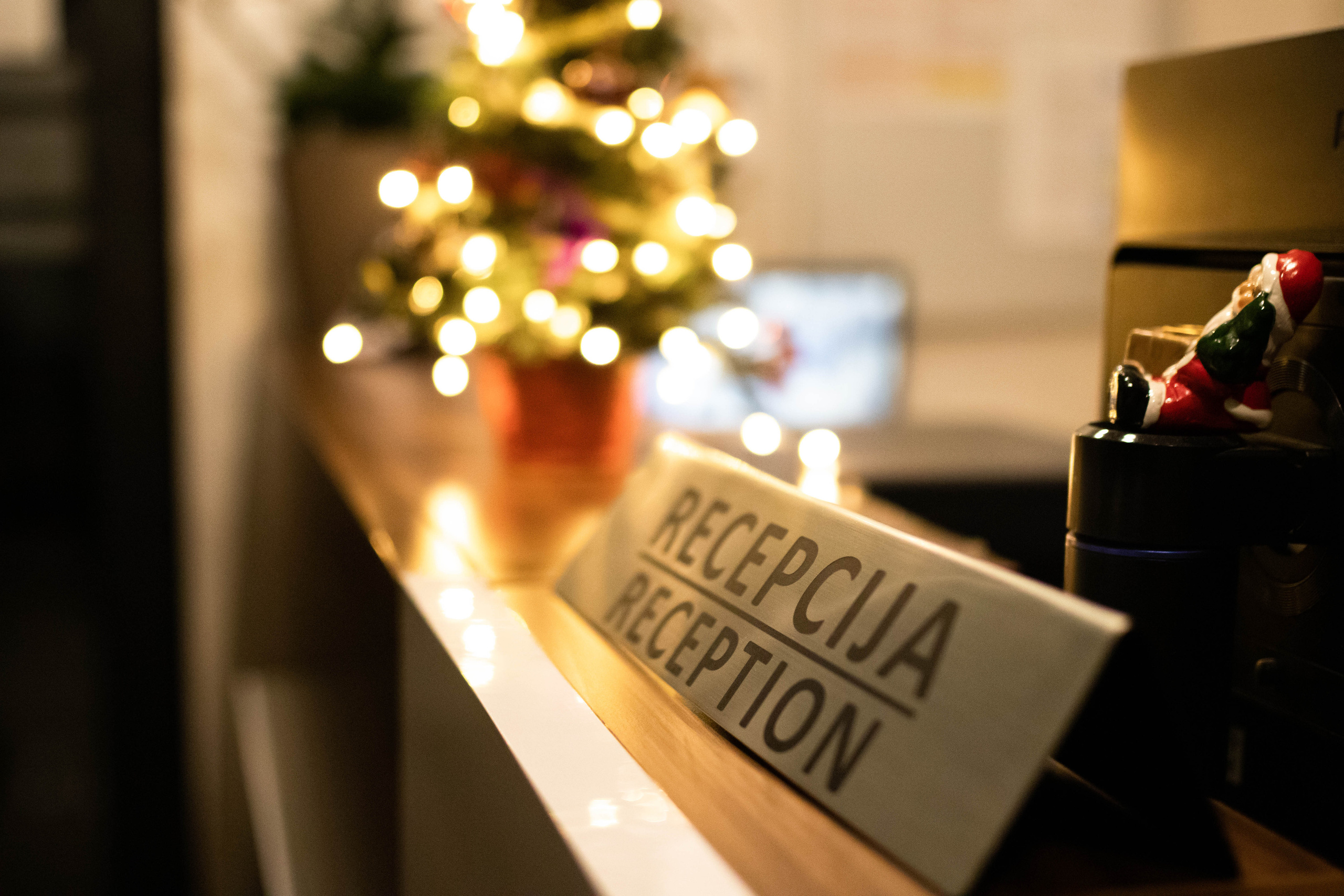 Fotografije enterijera jotela Garnet u Rumi