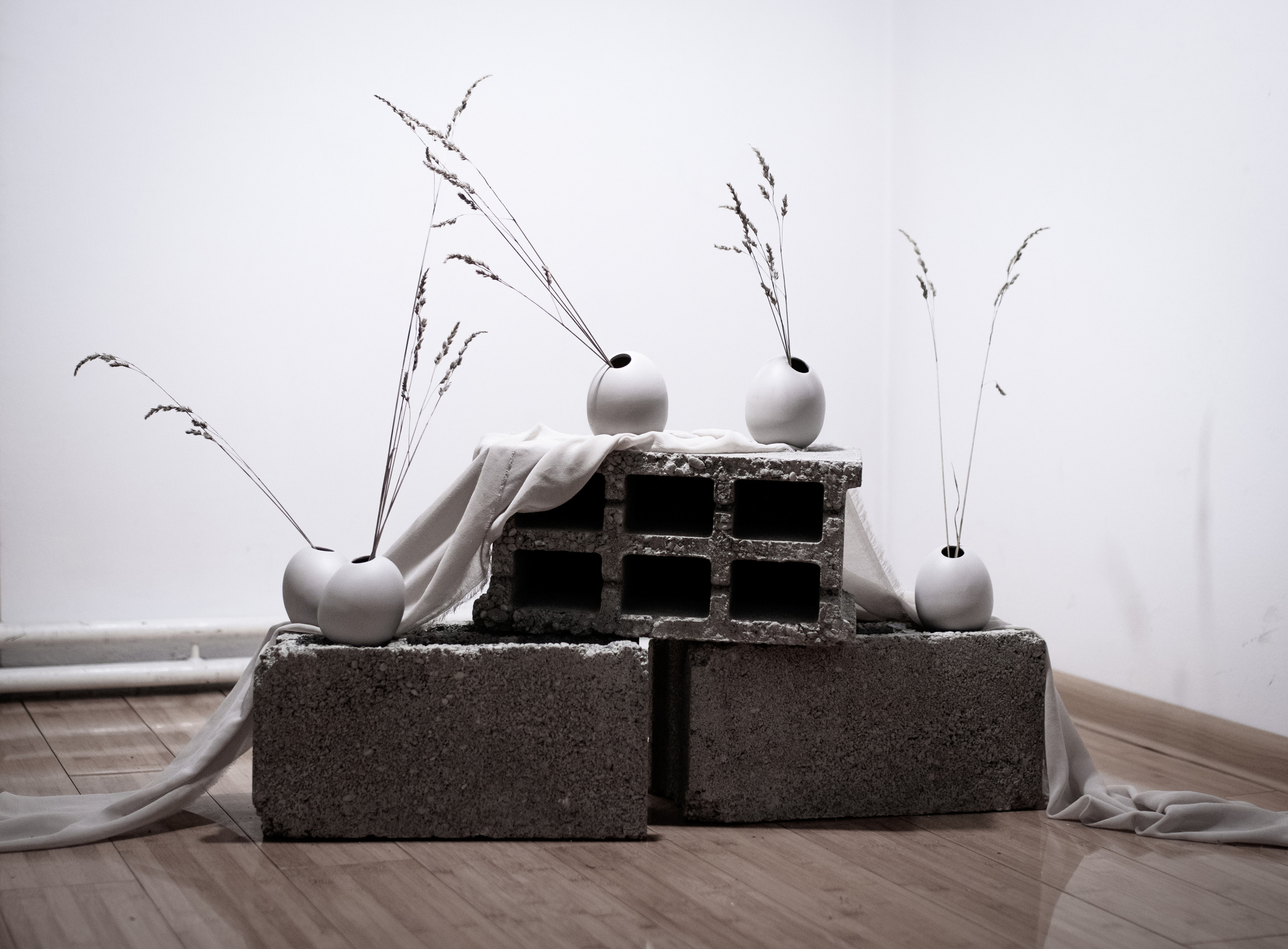 Fotografije sa predivne izložbe