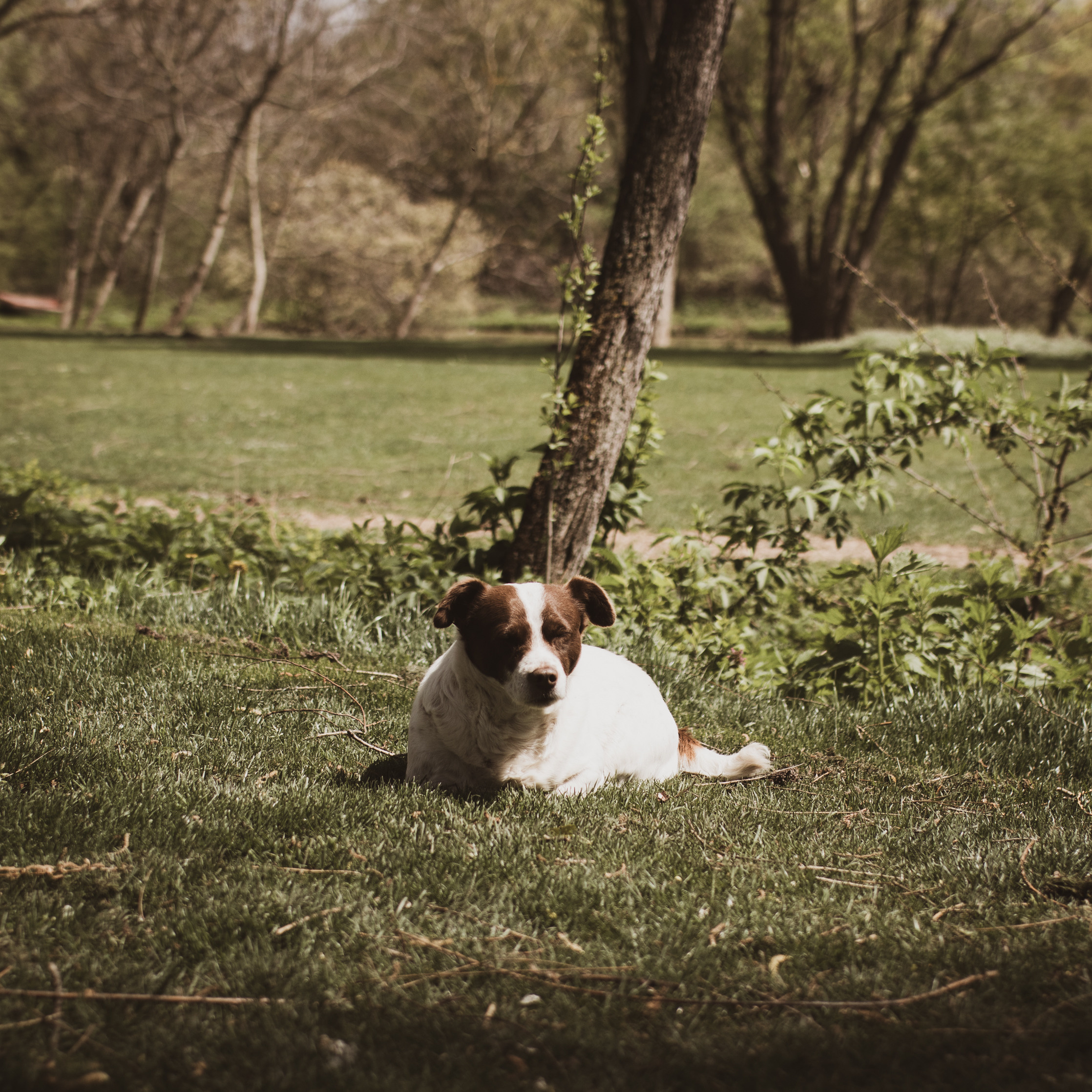 Fotografije skrivene vinarije za odmor za dušu u podnožju Fruške gore