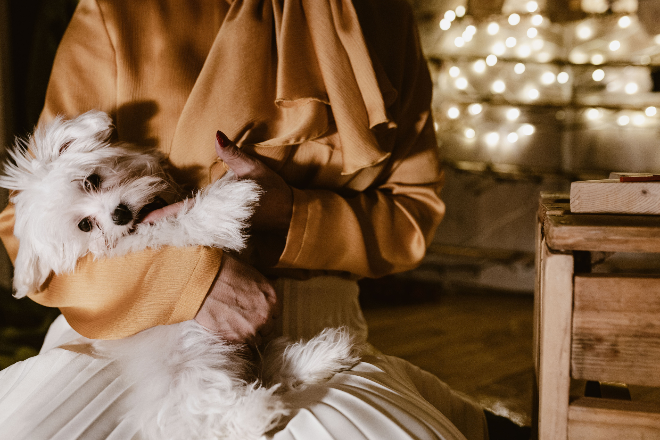 Praznično studijsko fotografisanje u magičnoj atmosferi