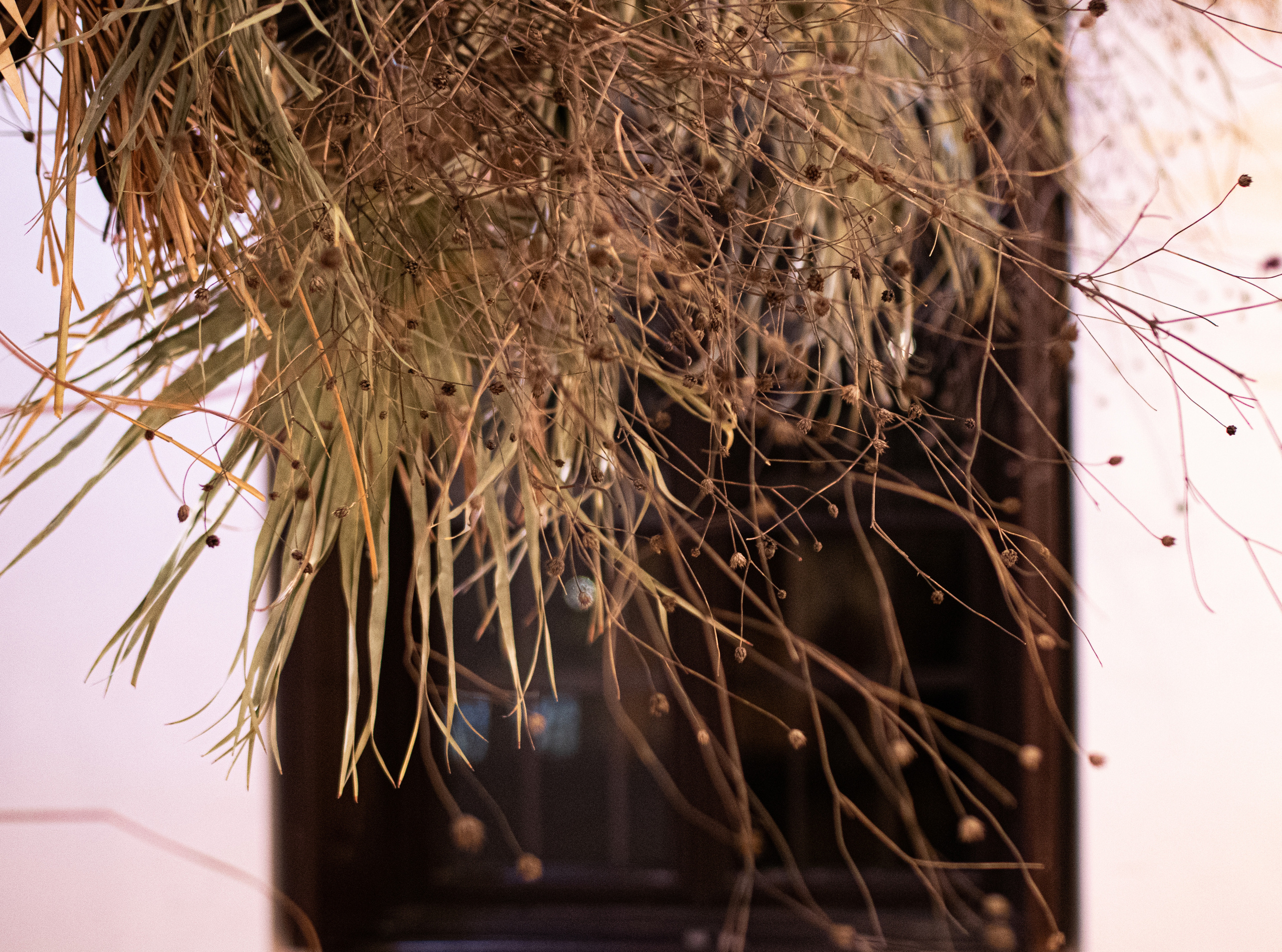 Fotografije sa predivne izložbe