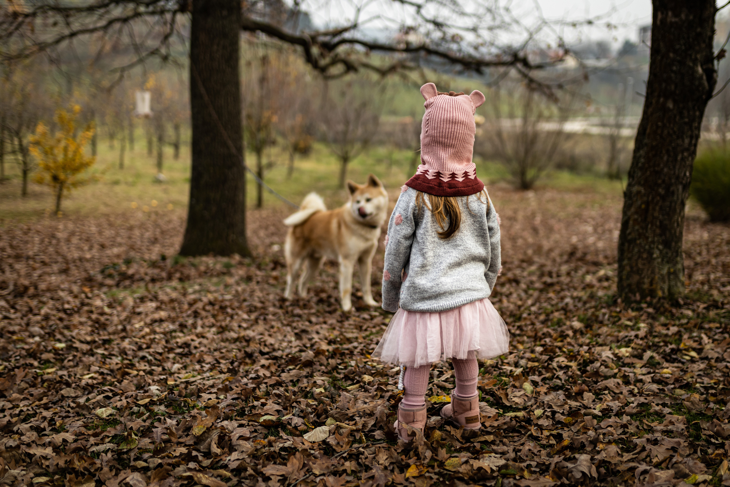 Praznično fotografisanje