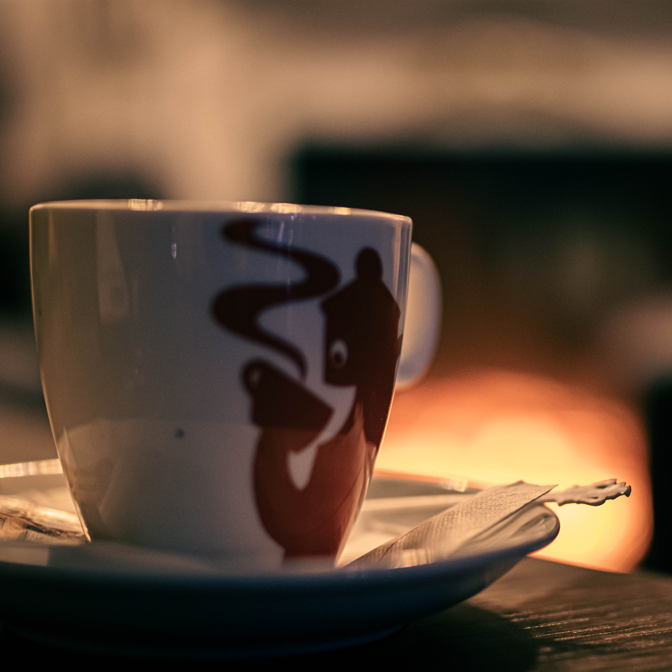 Fotografije enterijera jotela Garnet u Rumi