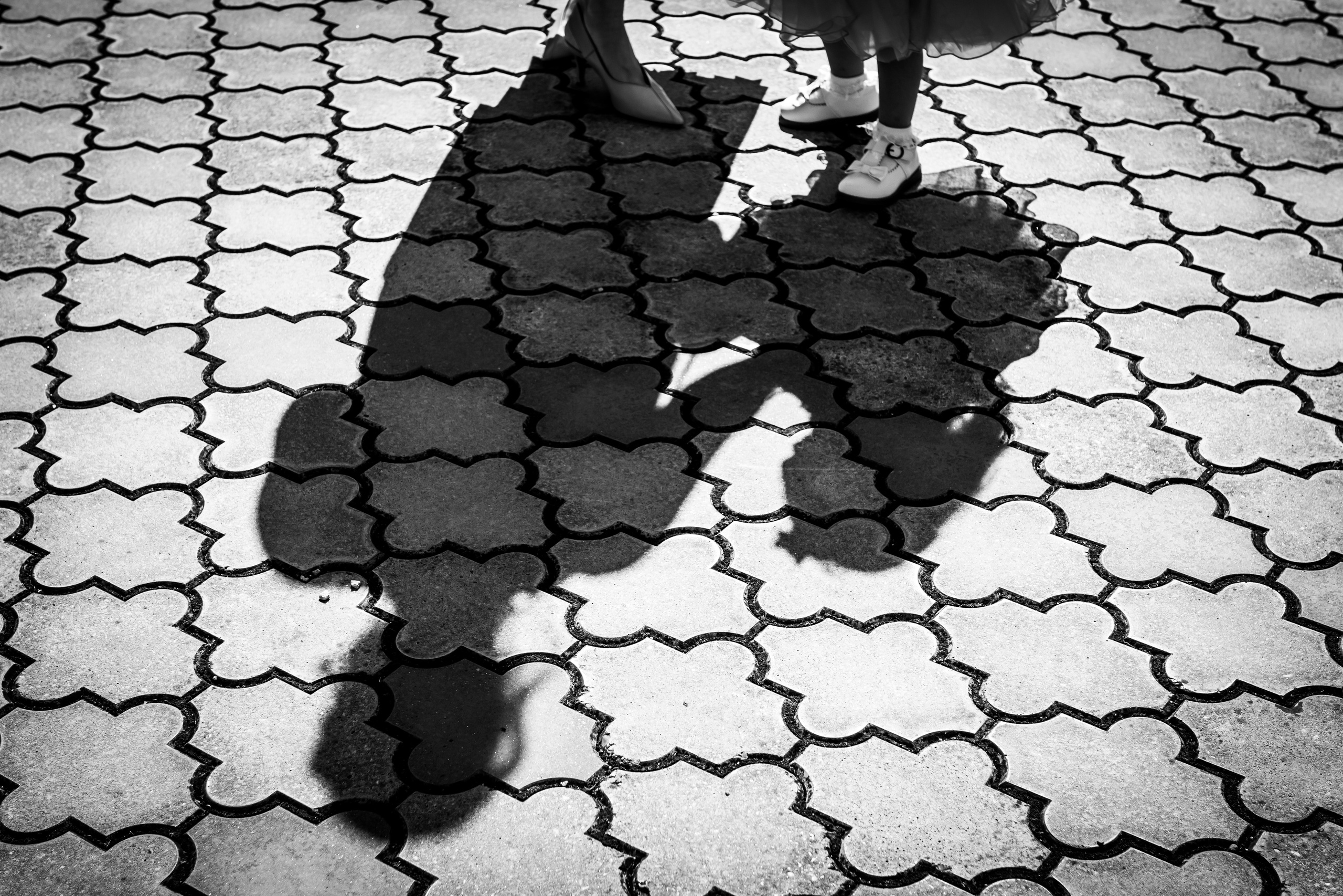 crno-bela fotografija senki